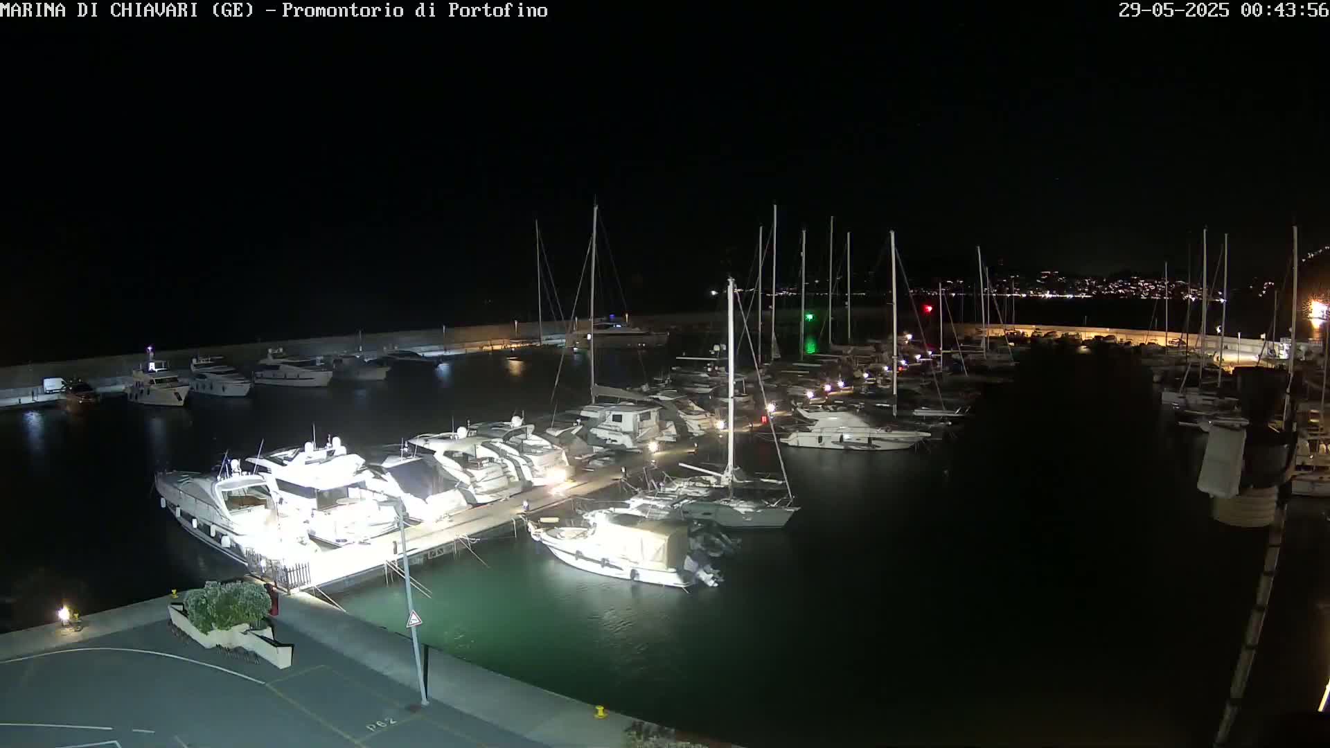 A marina filled with numerous boats and yachts is illuminated at night under a clear, dark sky.
