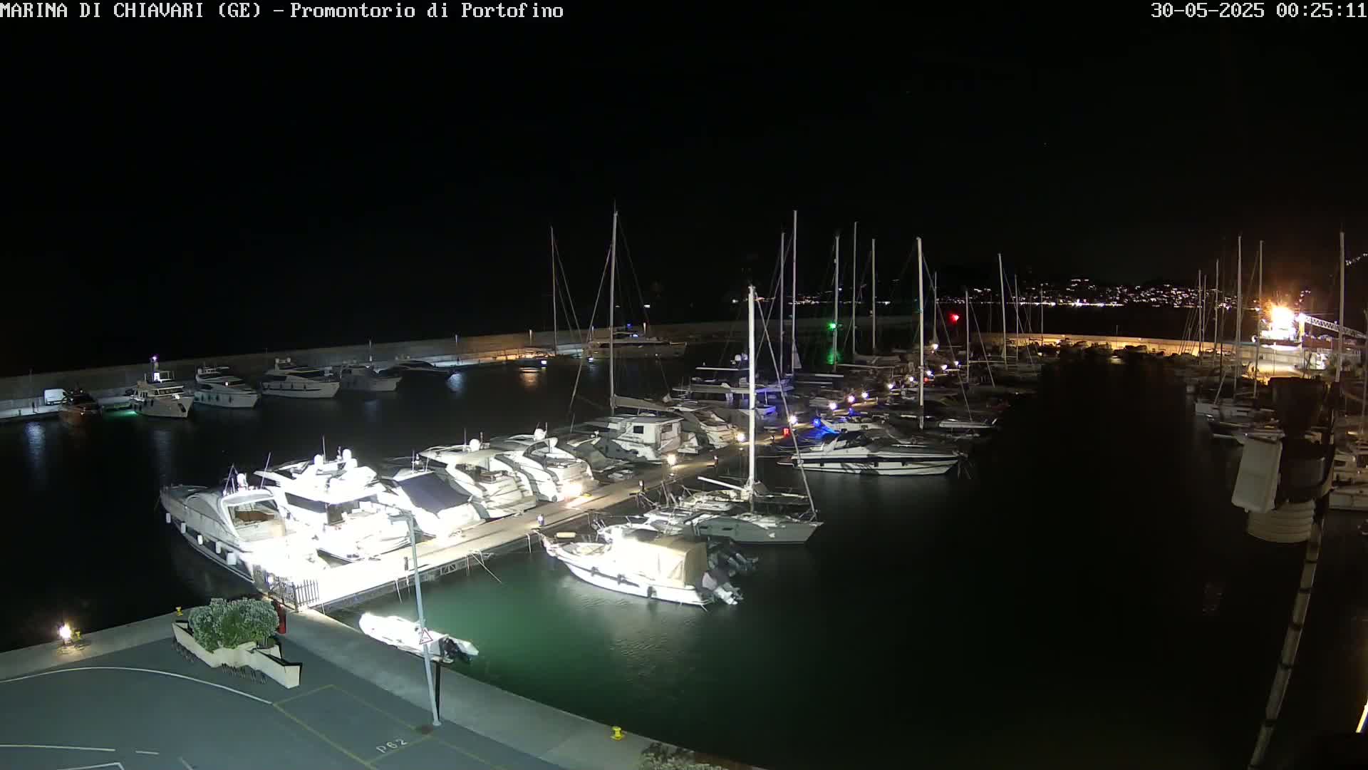 A marina filled with many yachts and boats is illuminated at night.