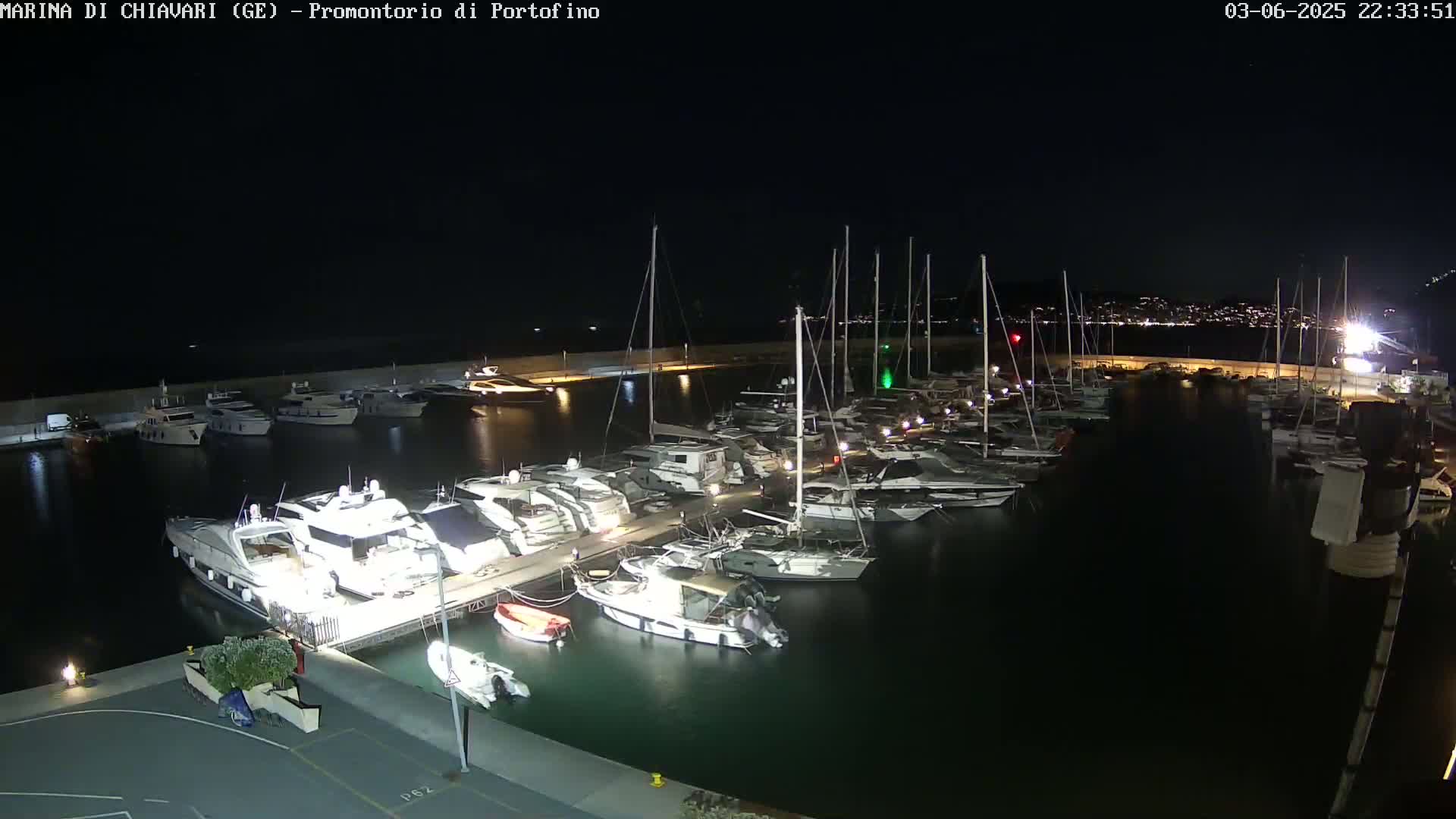 Many boats are docked in a marina at night under a clear, dark sky.