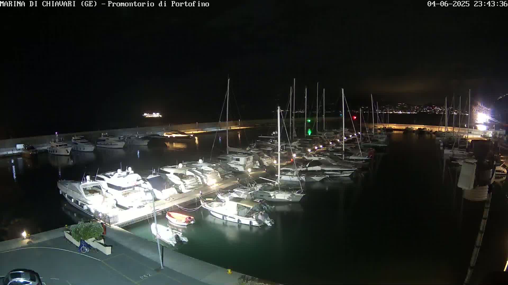 A marina filled with numerous boats and yachts is illuminated at night, with a city skyline visible in the distance under a dark sky.