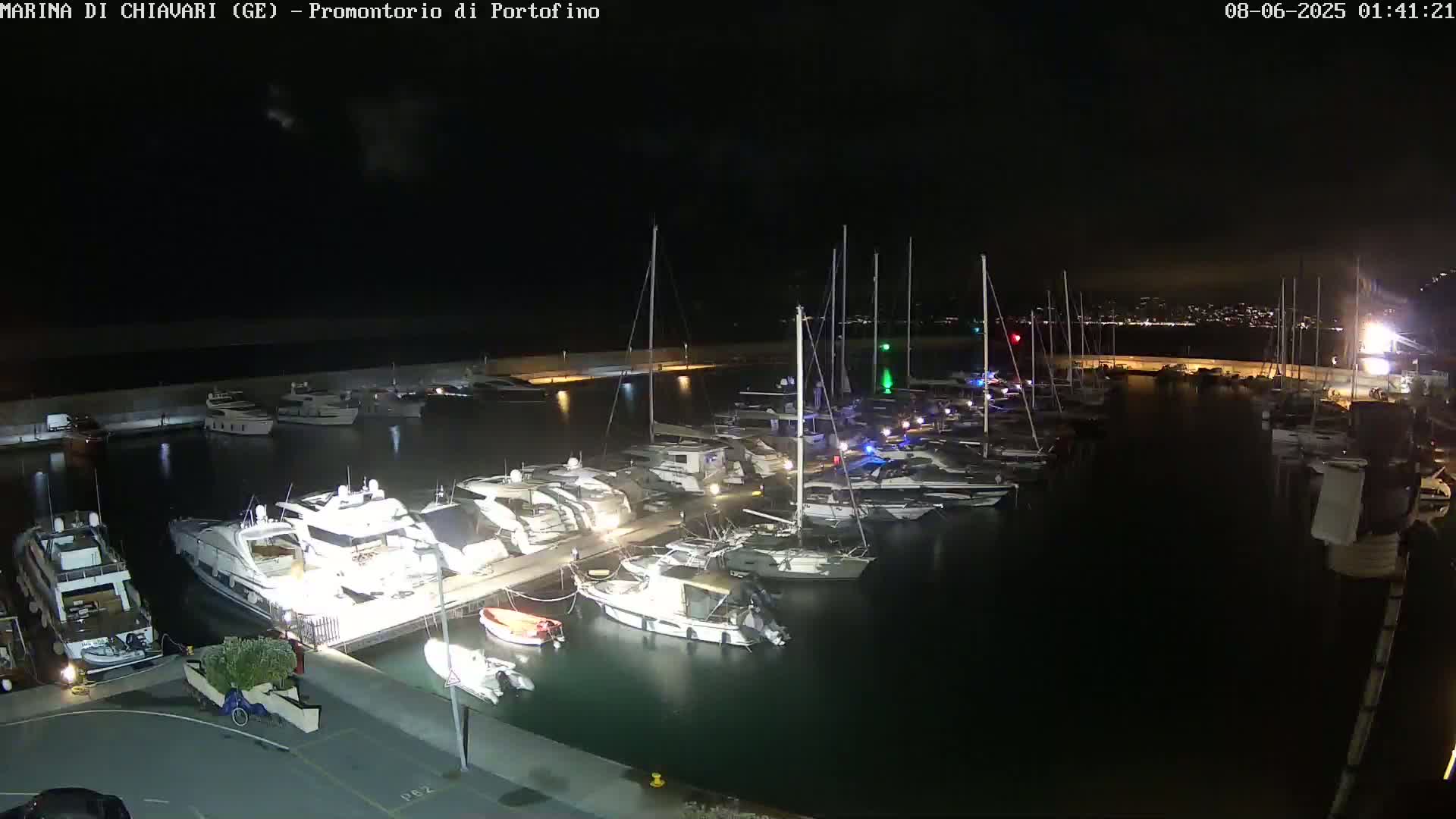 A marina at night filled with numerous boats and yachts, under a dark sky.