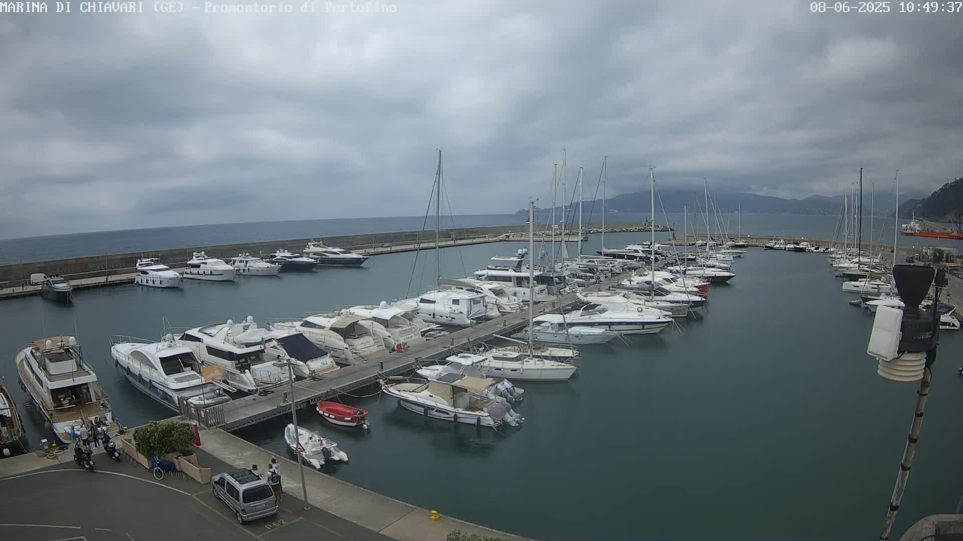 A marina filled with numerous yachts and sailboats is situated on a calm body of water under an overcast sky.