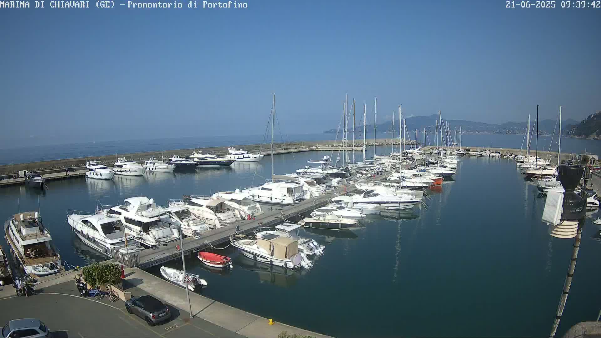 A marina filled with numerous yachts and motorboats on a sunny day, with calm water and distant hills visible in the background.