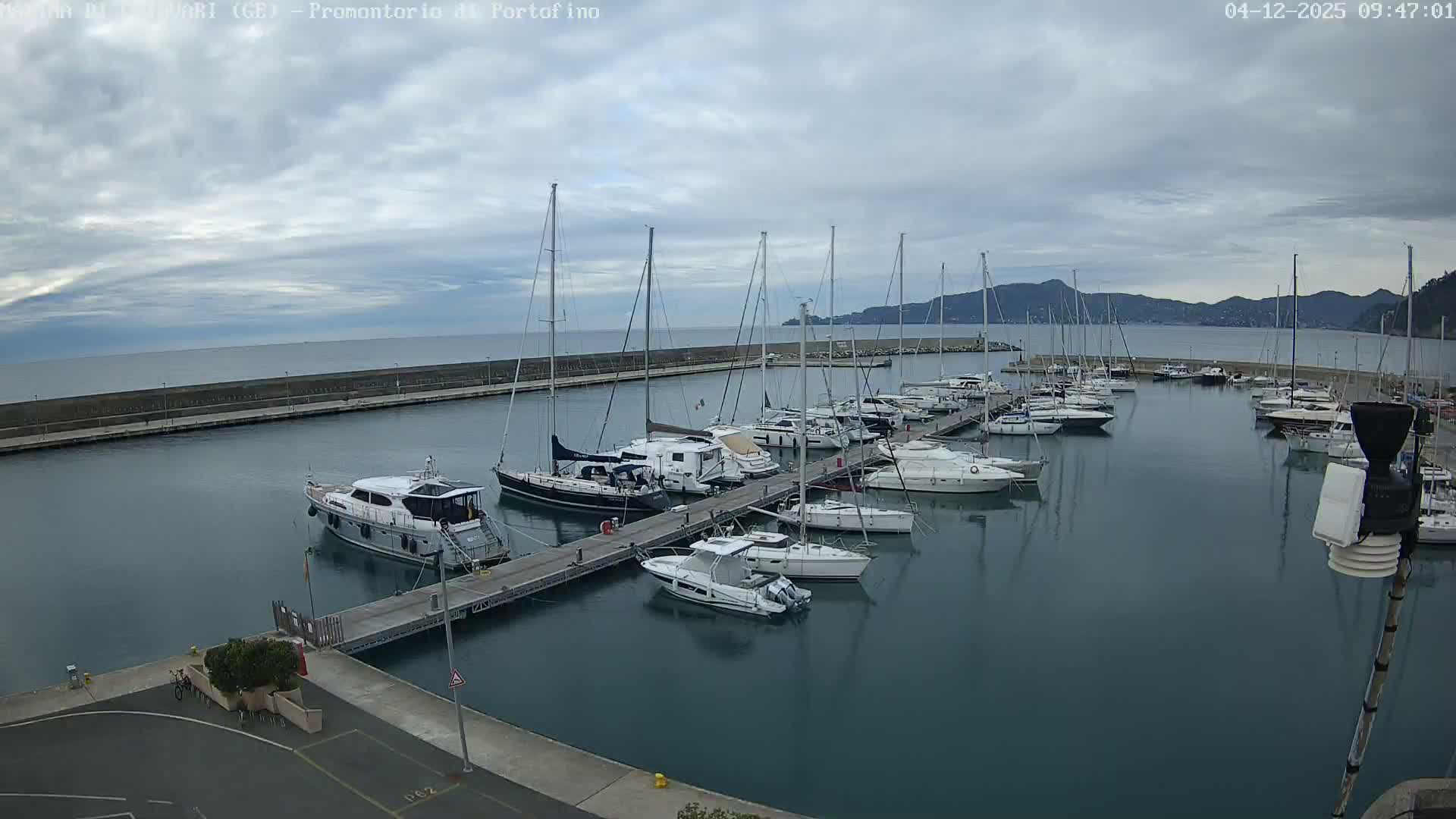 A wide view of a tranquil marina is captured on an overcast day, showcasing numerous sailboats and yachts docked along piers, with a distant coastline of mountains and a calm sea beyond a long breakwater.