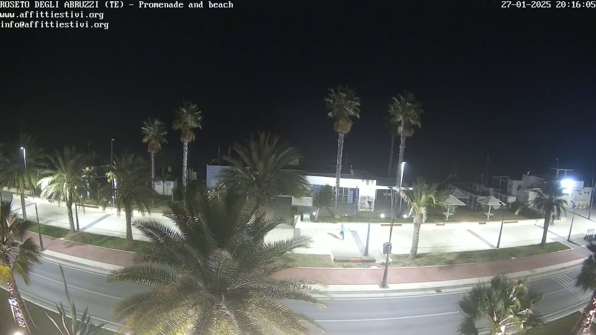 A nighttime view of a seaside promenade lined with palm trees, a road, and a building, under a clear, dark sky.