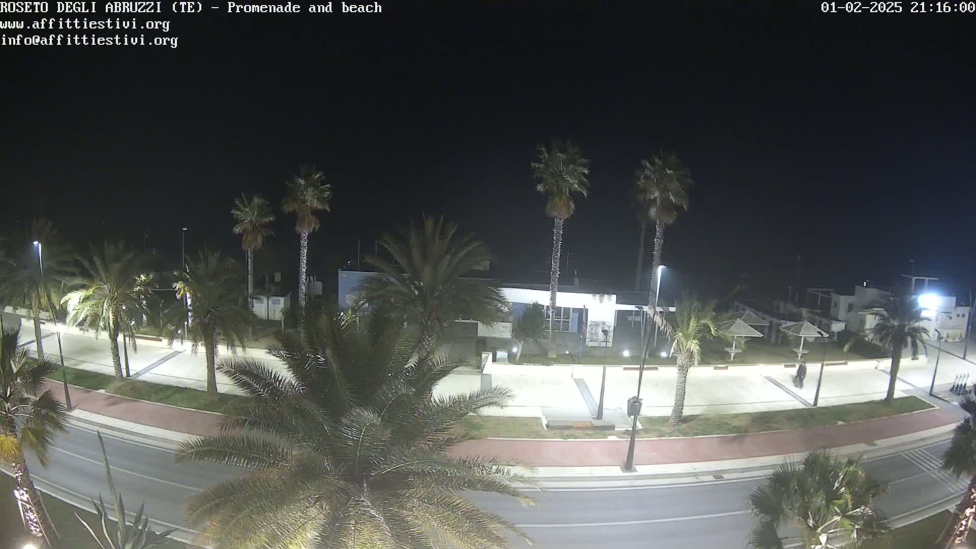 A nighttime view of a palm tree-lined promenade and beach, with a road separating the palm trees and the beach area.