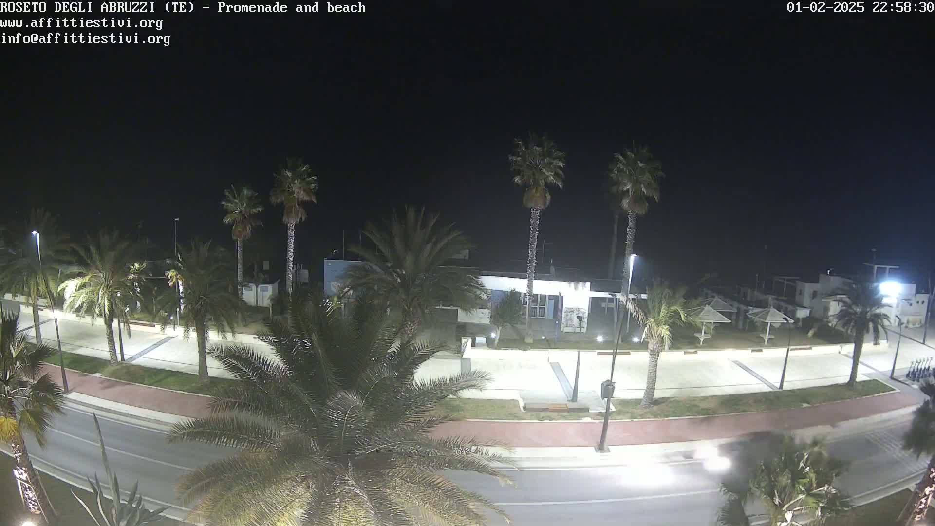 A nighttime view of a beachfront promenade lined with palm trees, a road, and some buildings under a clear, dark sky.