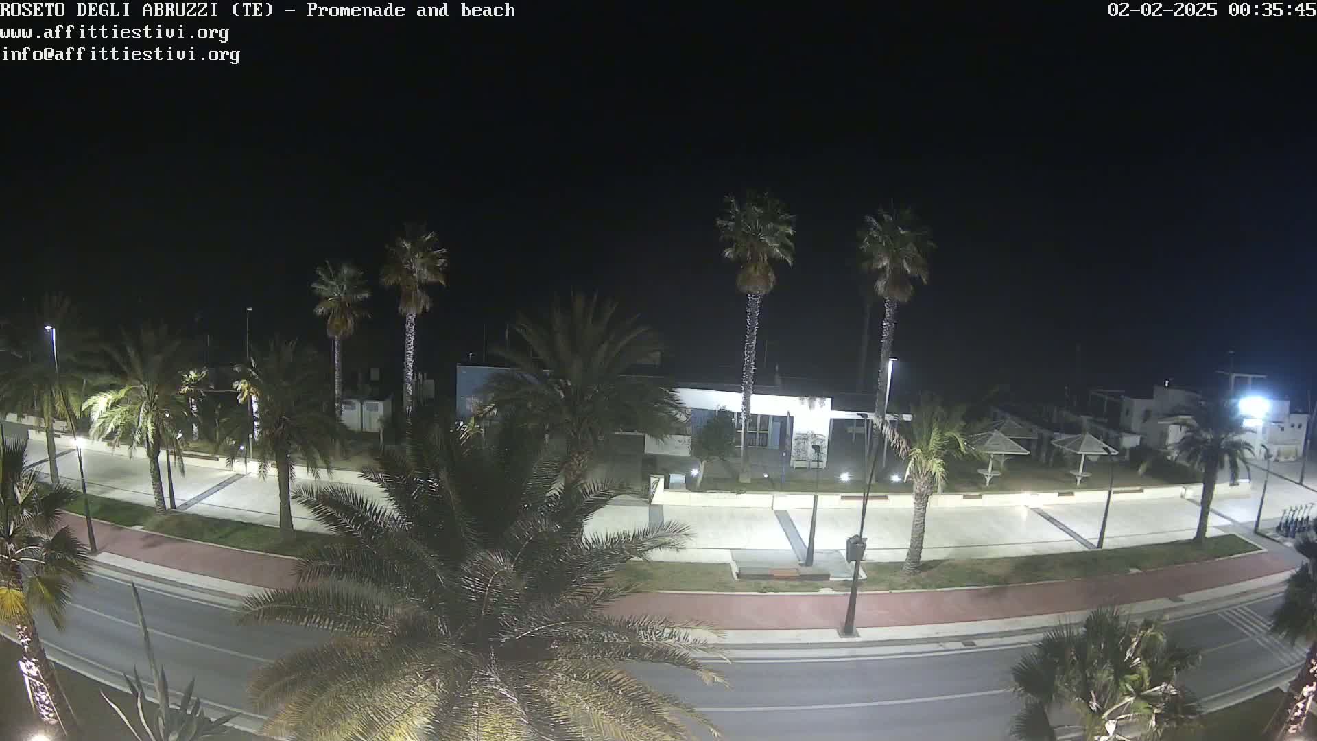 A nighttime view of a seaside promenade lined with palm trees, a road, and a building.