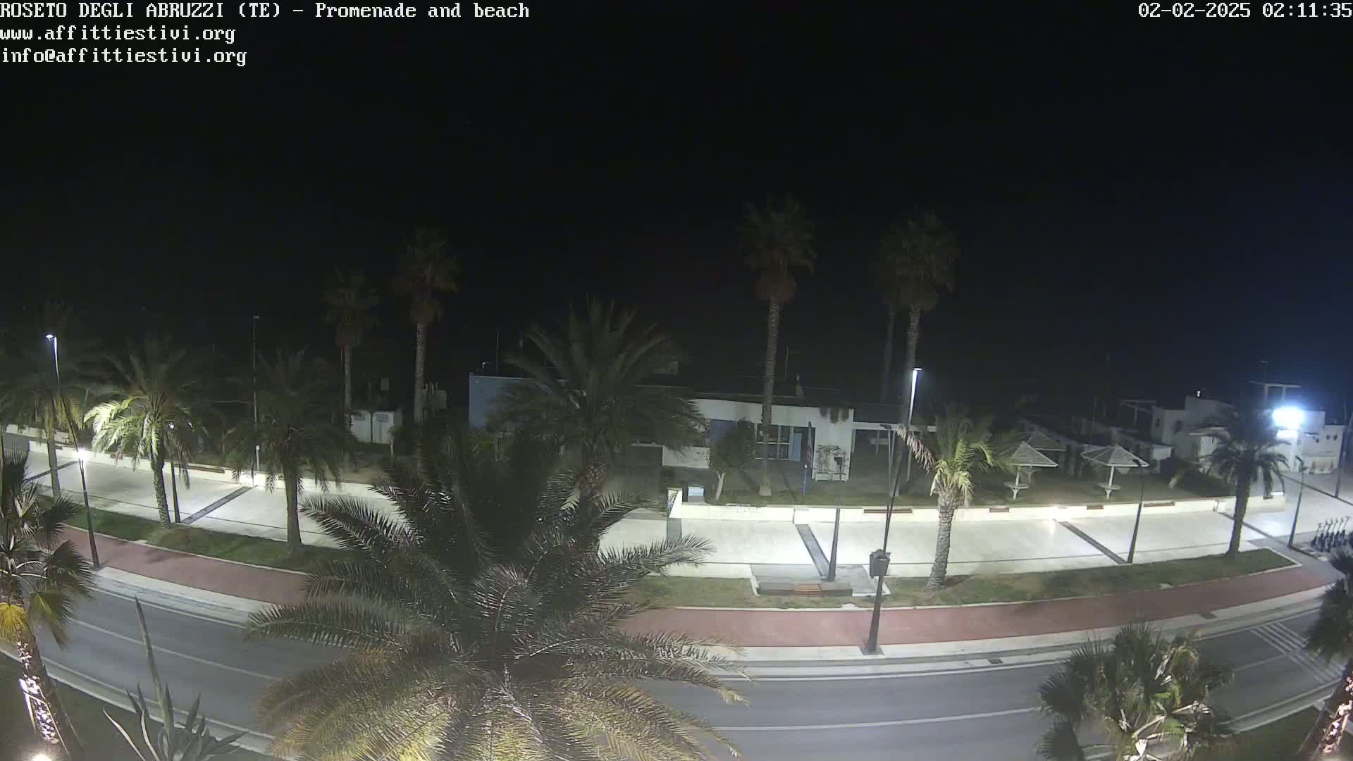 A nighttime, overhead view shows a paved promenade and road lined with palm trees, leading to a beach area with several beach umbrellas under a dark sky.