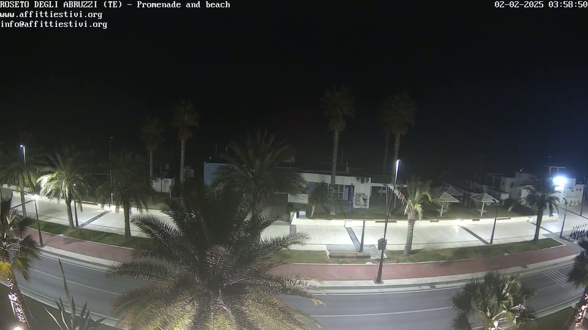 A nighttime view of a palm-tree-lined promenade and beach, with a road running alongside.