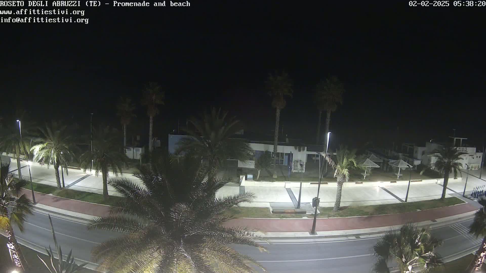 A nighttime view of a paved promenade and beach lined with palm trees, under a dark sky.