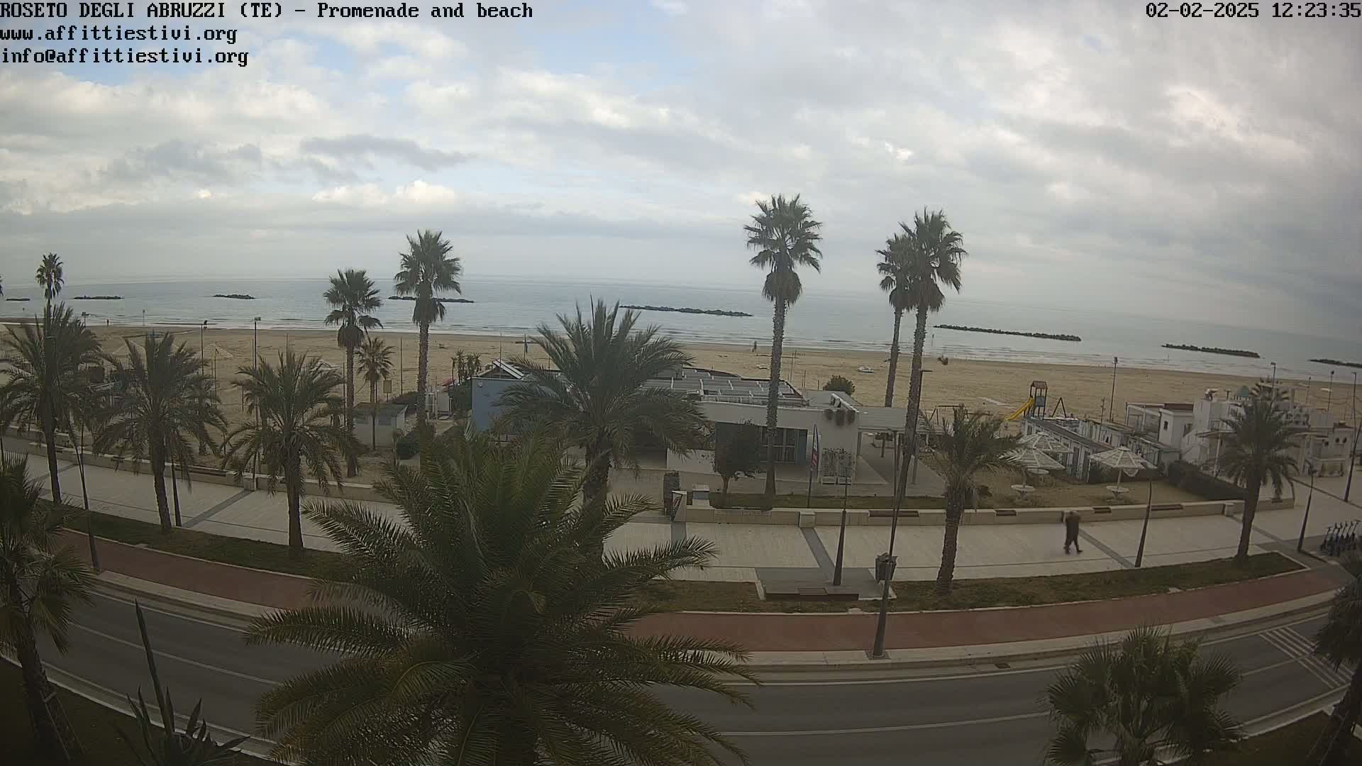 A mostly cloudy day overlooks a beachside promenade lined with palm trees, a road, and some buildings.