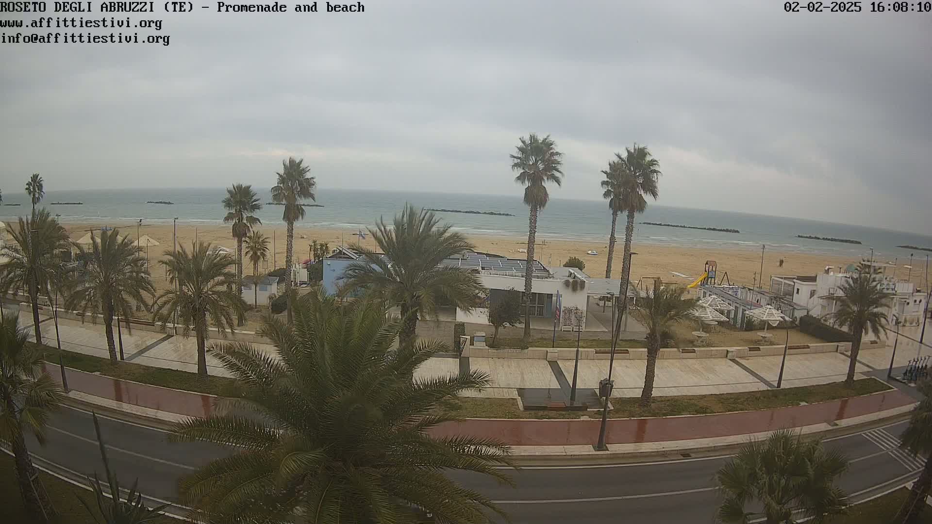 A beach with calm, grey-weather, palm trees lining a paved promenade next to a road.