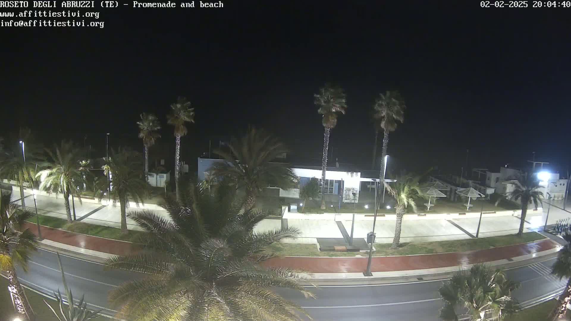 A nighttime view of a wet, palm-tree-lined promenade and beach, with a roadway and a few buildings visible.