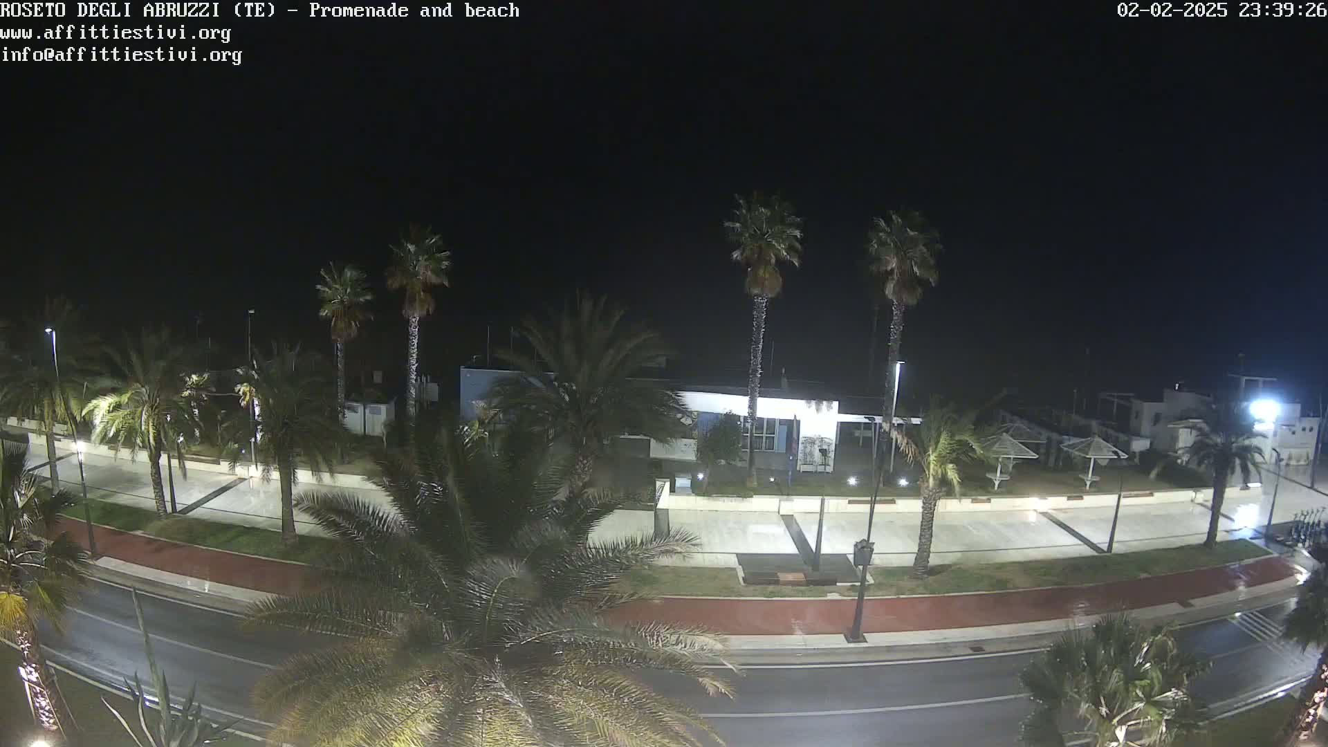 A nighttime view of a wet, palm-tree-lined promenade and road next to a beach, with a building visible in the background.