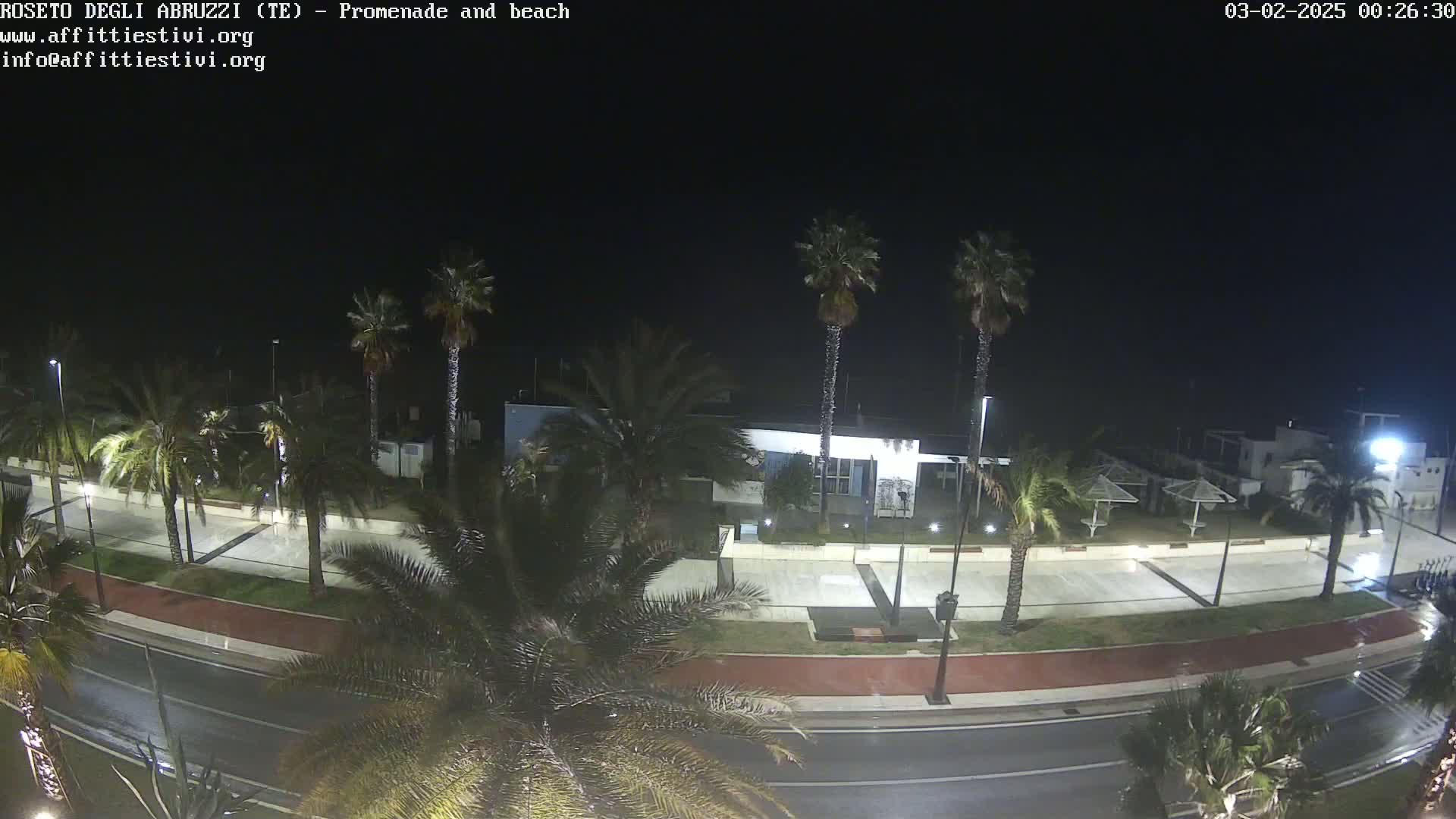 A nighttime, wet road runs alongside a promenade lined with palm trees, leading to a beach and buildings under a dark sky.