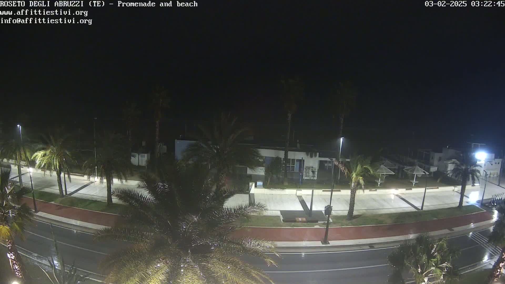 A rain-slicked nighttime street scene shows a promenade lined with palm trees, leading to a beach area with closed umbrellas under a dark sky.