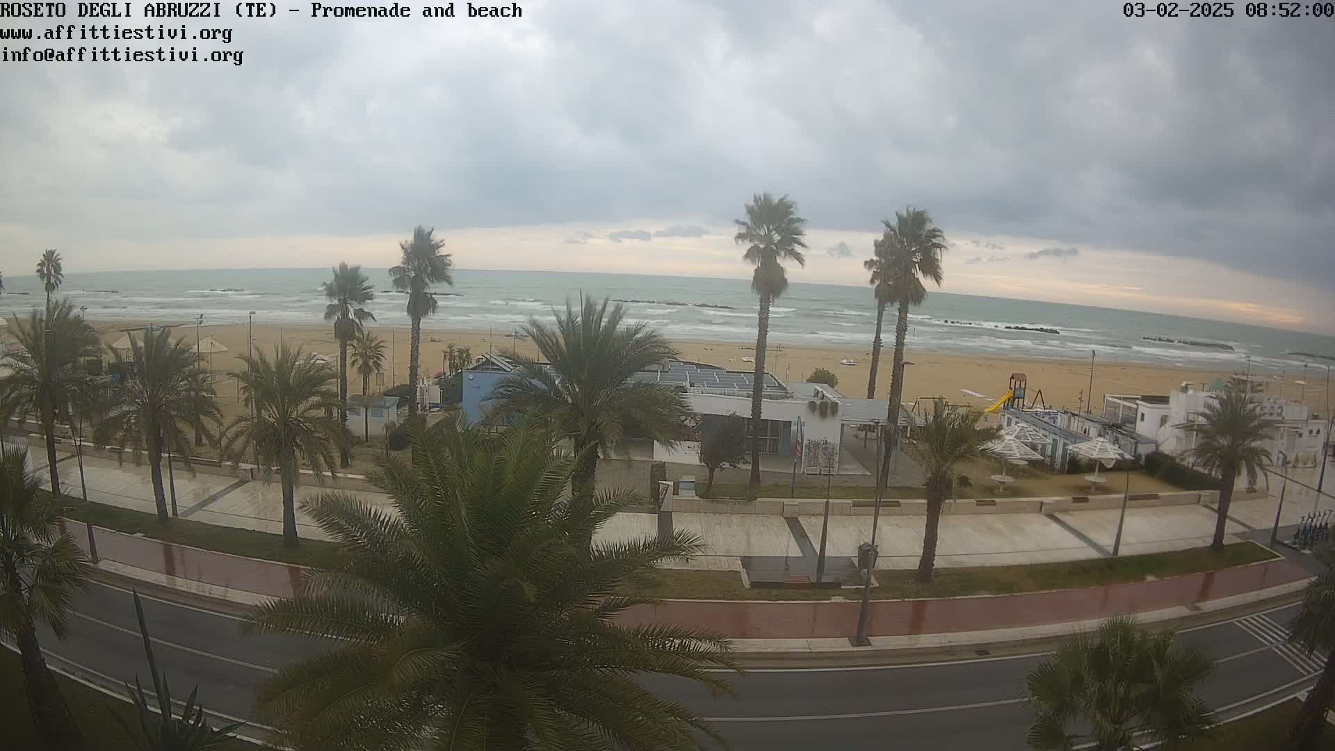 An overcast sky hangs over a beach scene with palm trees lining a paved promenade and road beside a sandy beach with a calm sea.