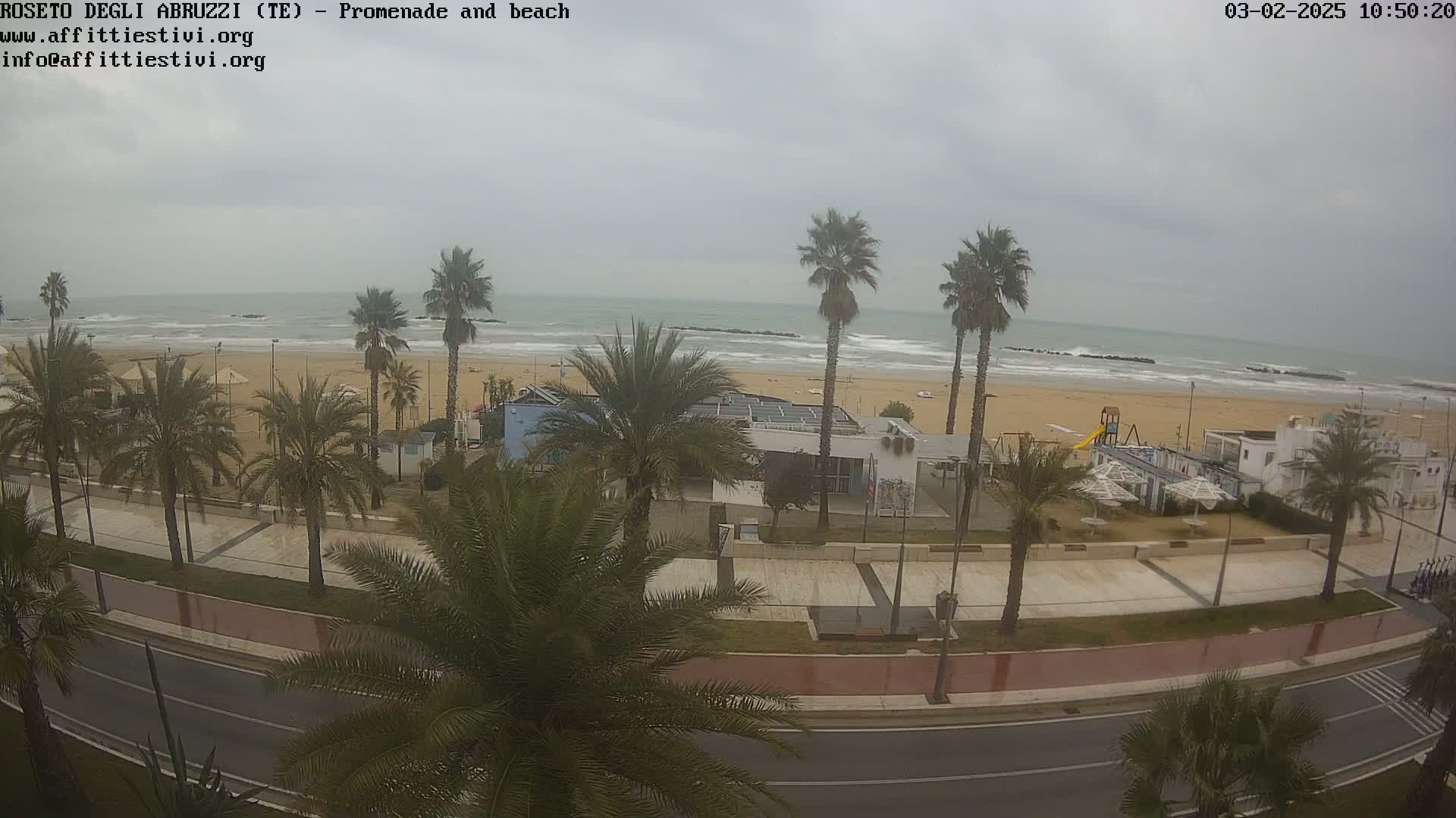 A beach with palm trees lining a promenade and road, under an overcast sky with a somewhat choppy sea.