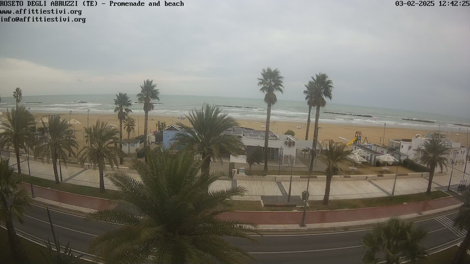A beach with palm trees and a promenade, viewed from above on an overcast day.