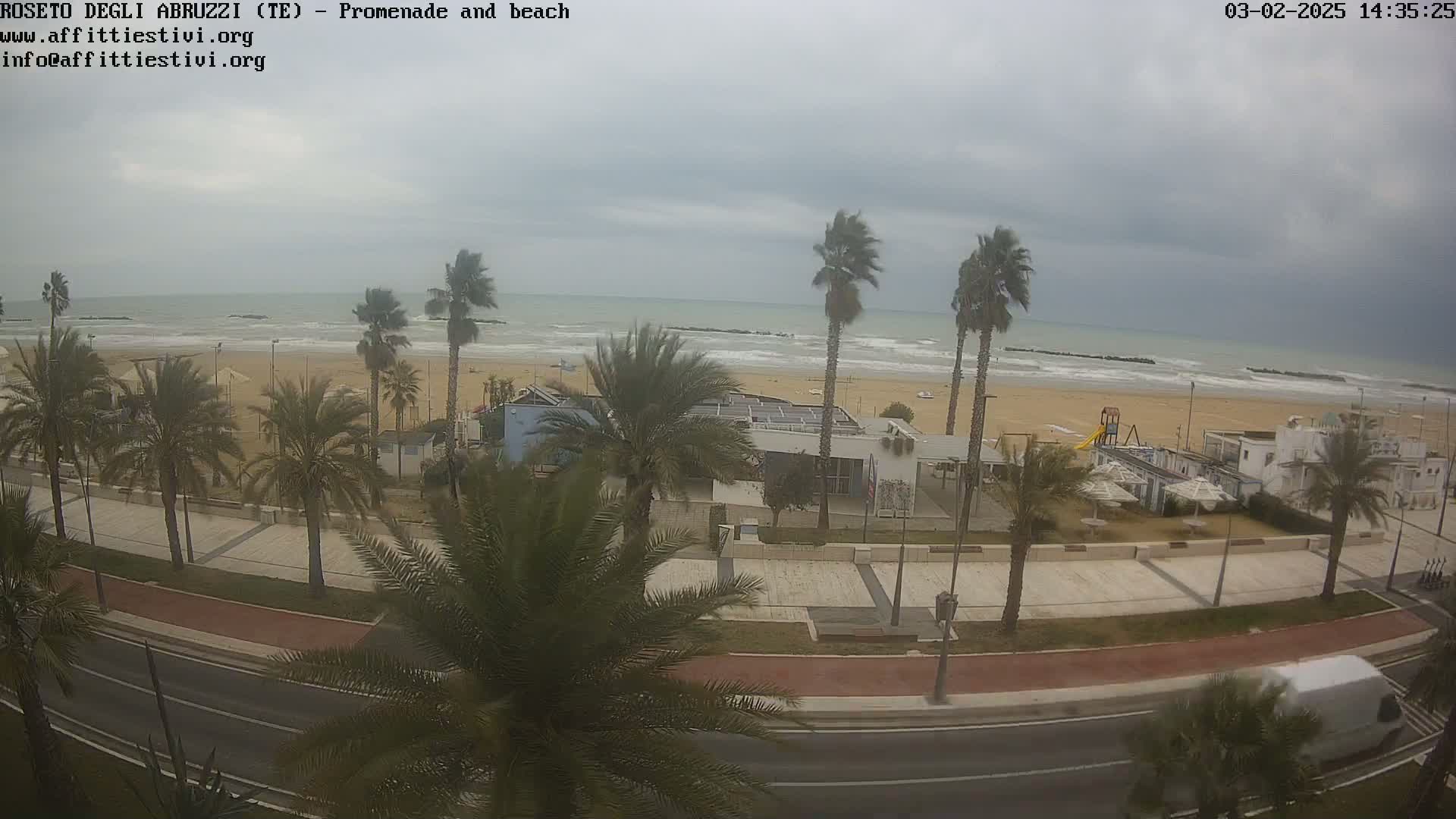 A beach with palm trees lining a paved promenade is visible under an overcast sky, with a road separating the beach from the palm trees.