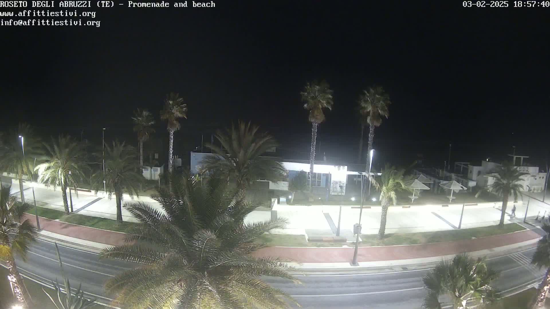 A nighttime, overhead view of a palm tree-lined promenade and beach, with a road running alongside, under a dark, clear sky.