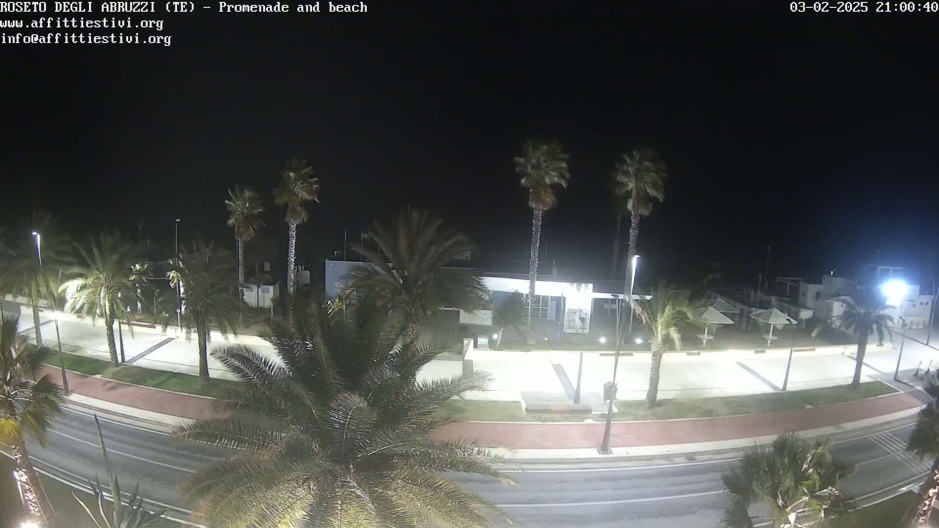 A nighttime view of a palm tree-lined promenade and beach, with a road and buildings visible under a dark sky.