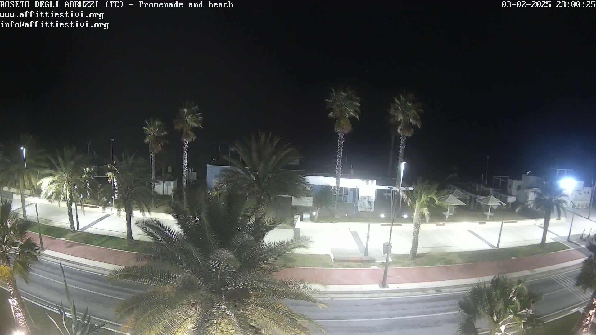 A nighttime view of a beachside promenade lined with palm trees, featuring a roadway, a paved walkway, and several buildings under a dark sky.