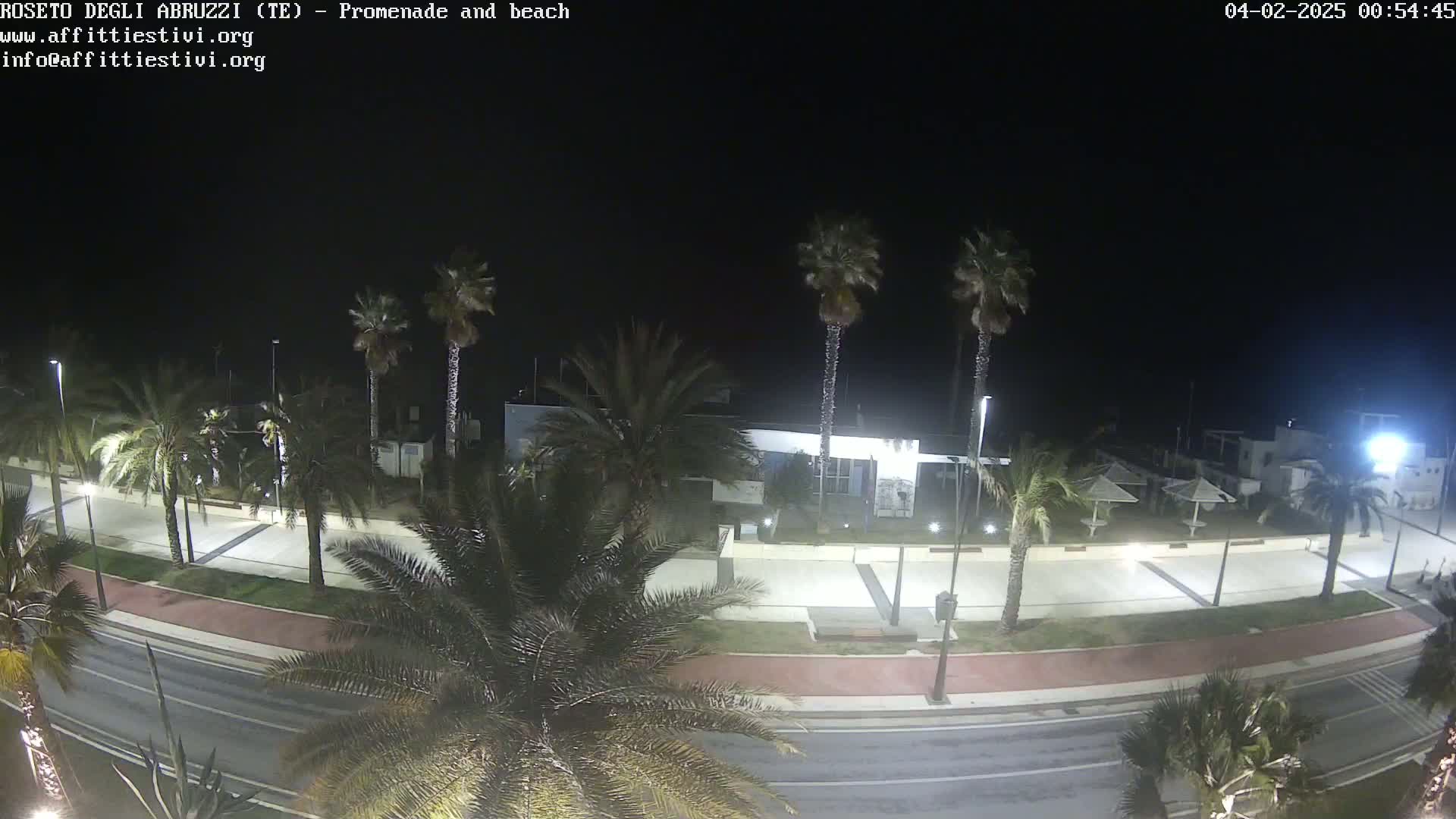 A nighttime, overhead view of a palm tree-lined promenade and beach, with a road and some buildings visible.