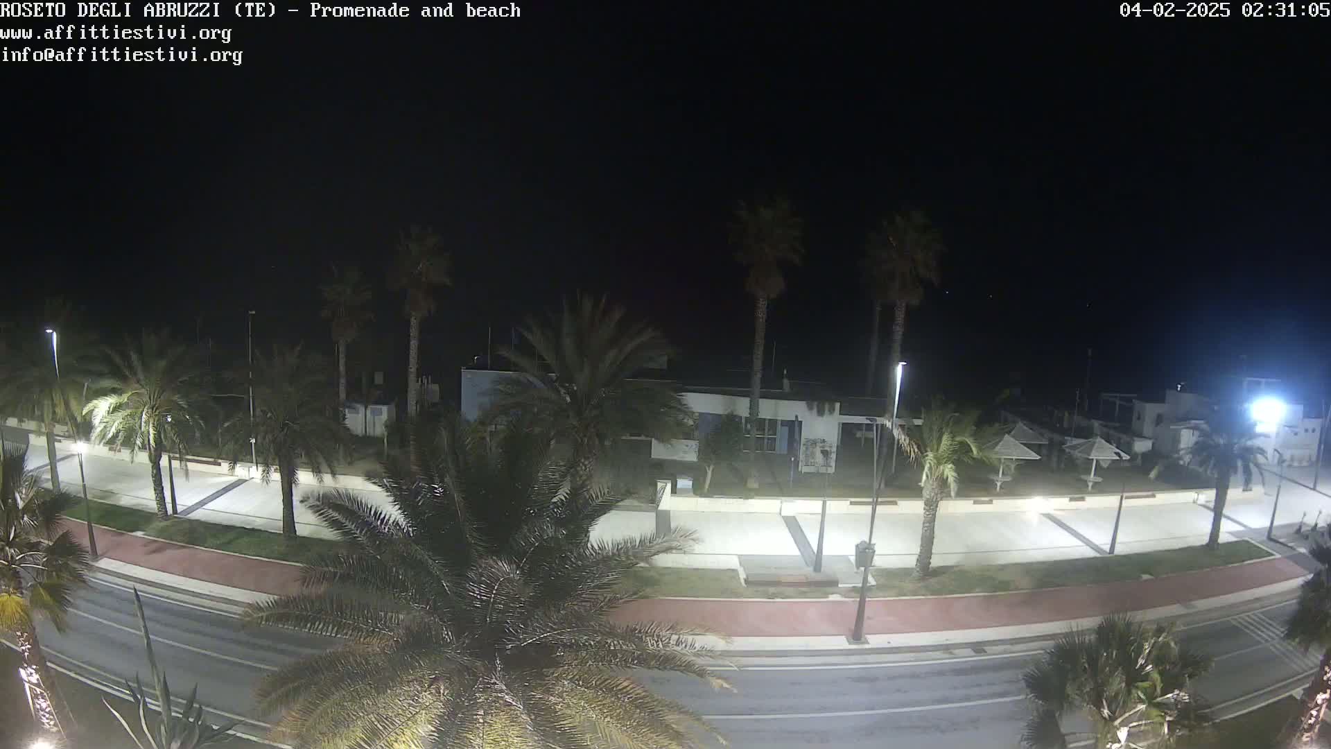 A nighttime, overhead view of a palm-tree-lined promenade and beach, with a roadway separating the two.