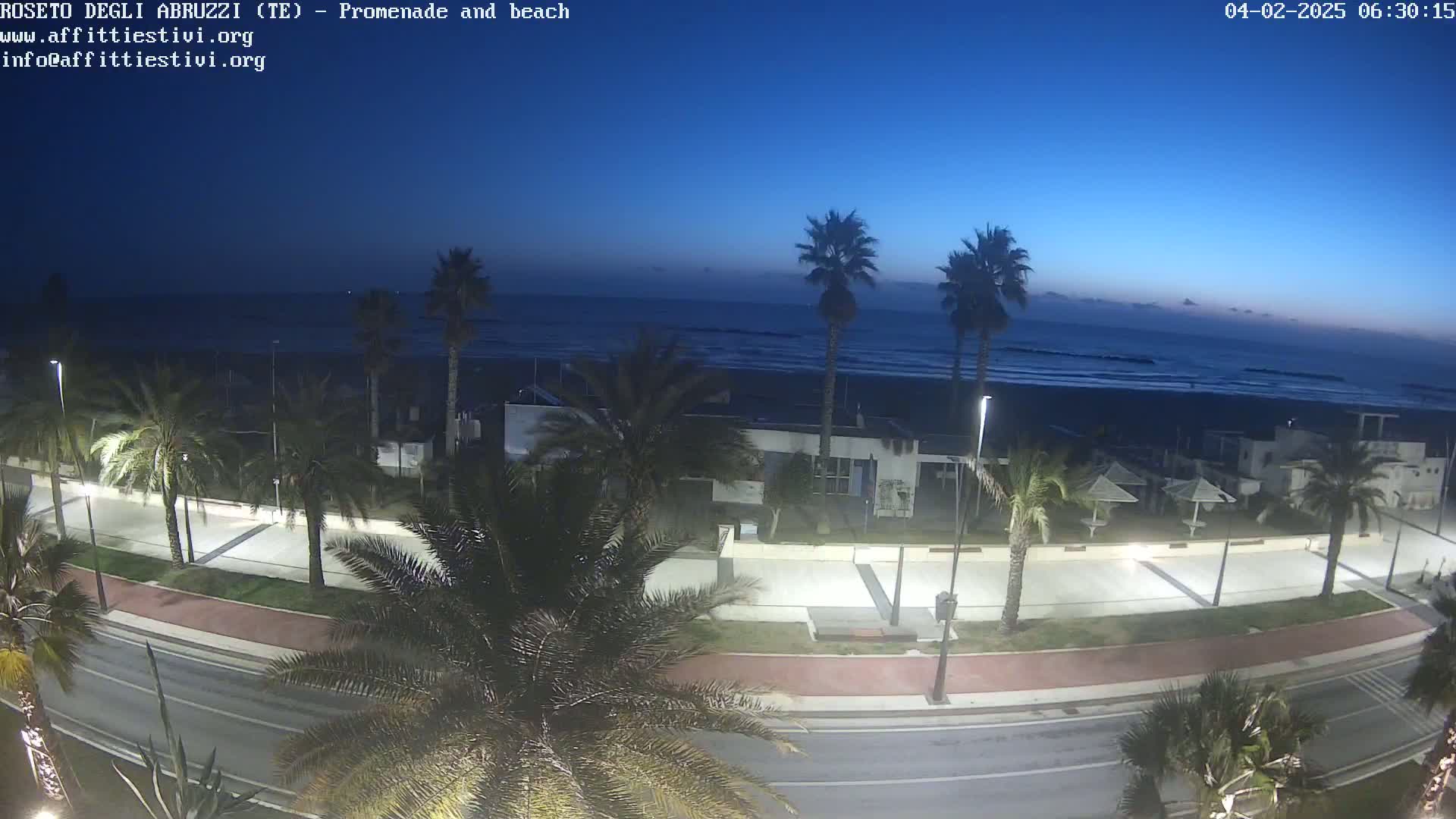 A nighttime view of a seaside promenade with palm trees lining a road next to a beach and calm ocean under a dark blue sky.