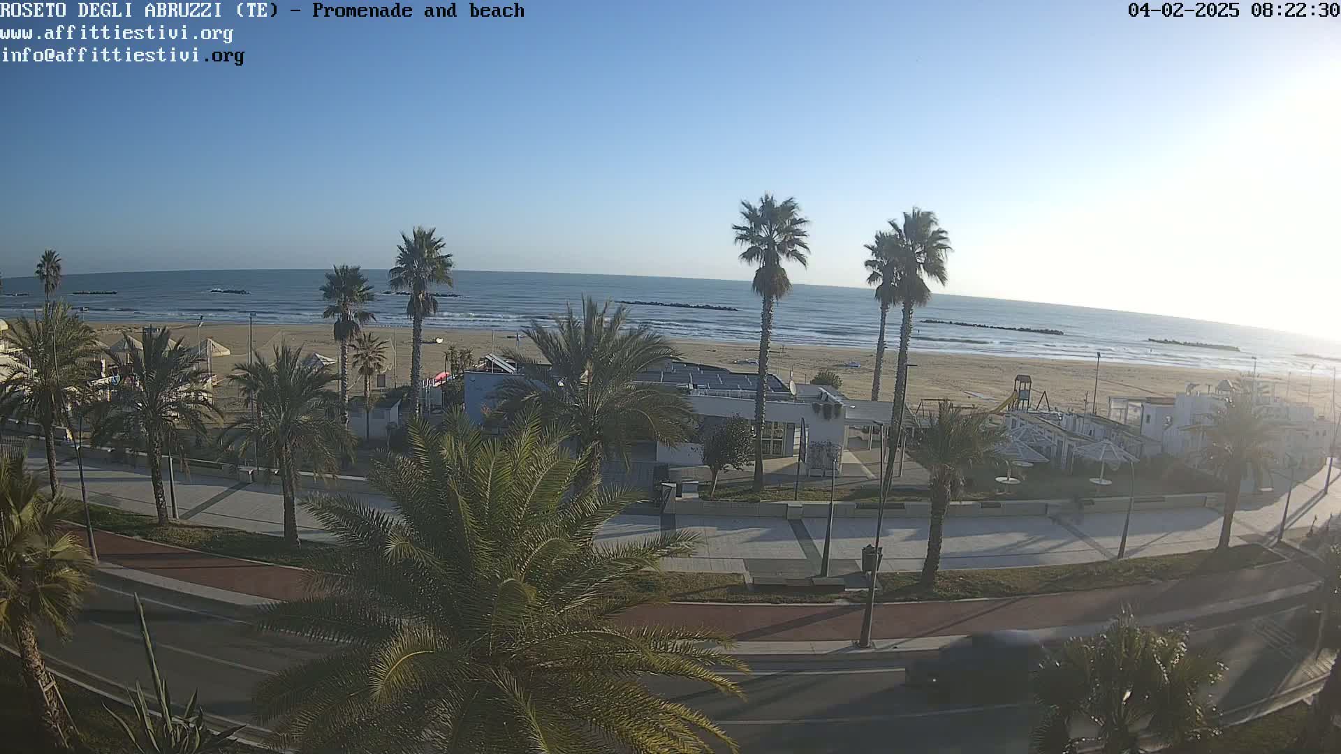 A sunny day overlooking a beach with palm trees lining a paved promenade and a road.