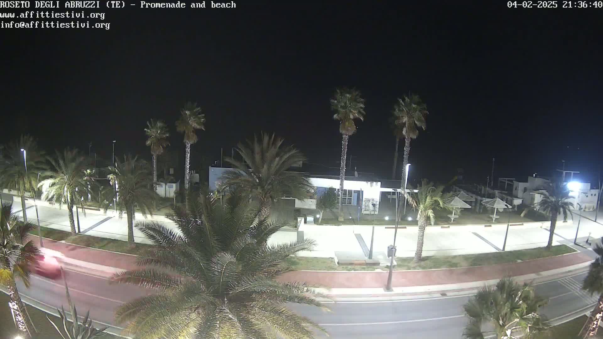 A nighttime, high-angle view shows a palm-tree-lined promenade and beach with a road, a building, and a few parked vehicles under a clear, dark sky.