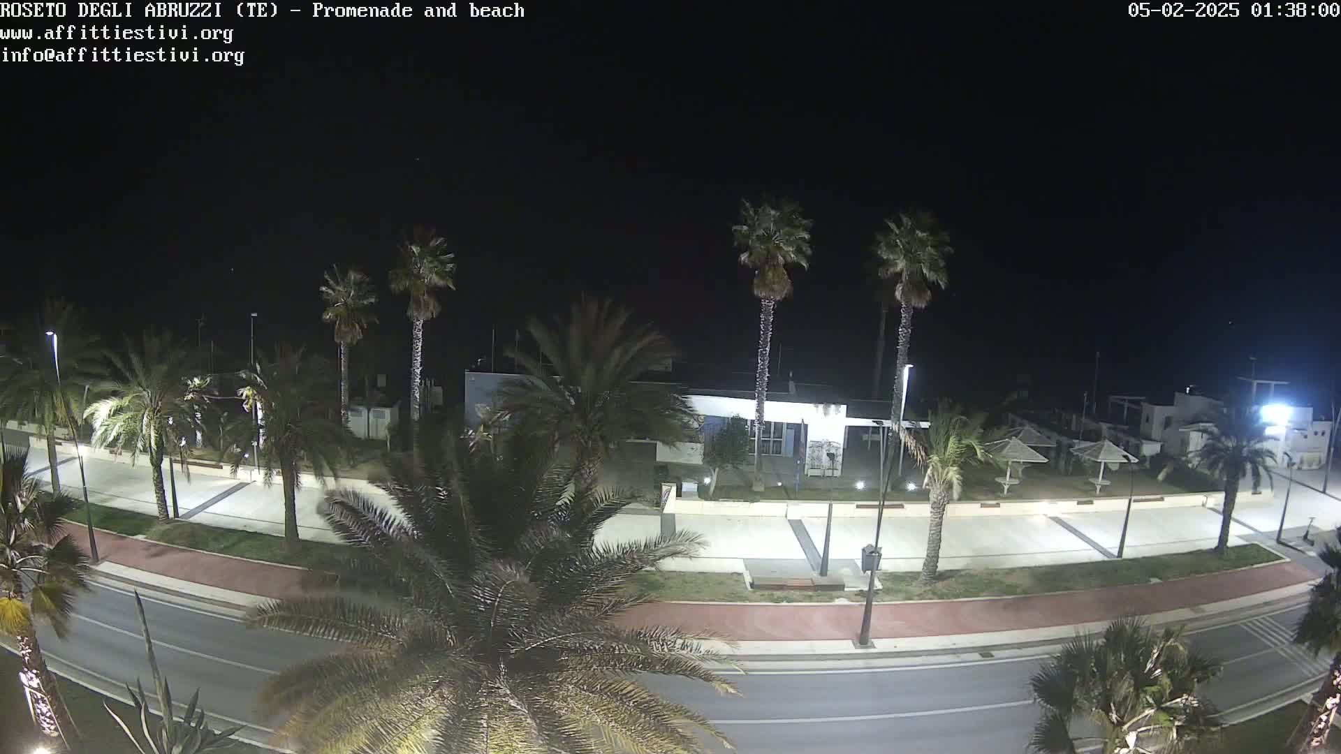 A nighttime, overhead view of a palm-tree-lined promenade and beach, illuminated by streetlights.