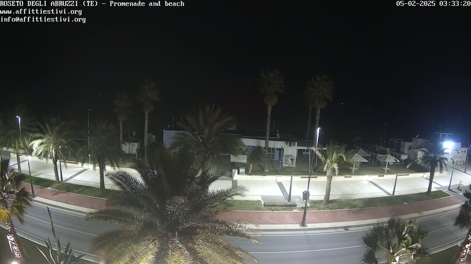 A nighttime, overhead view shows a paved road and promenade lined with palm trees, leading to a beach area with closed umbrellas under a dark sky.