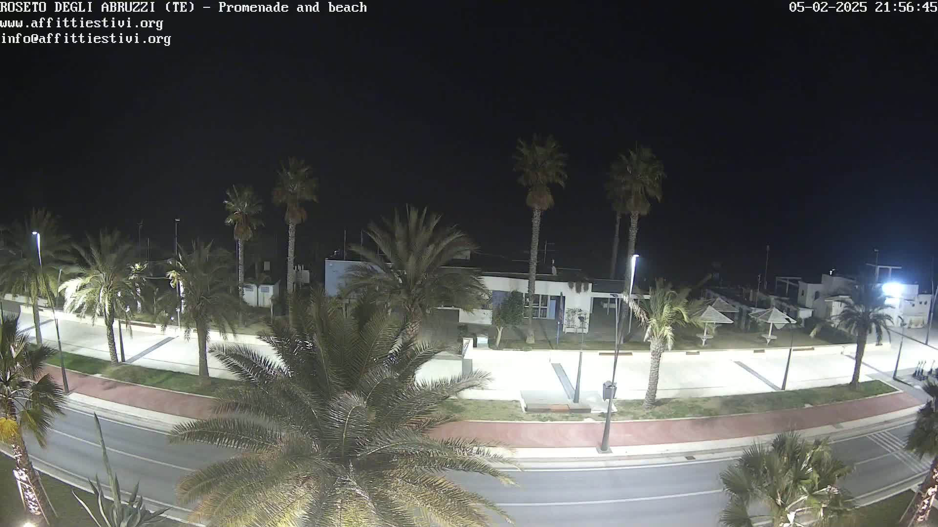 A nighttime view of a palm tree-lined promenade and beach, with a dark sky.