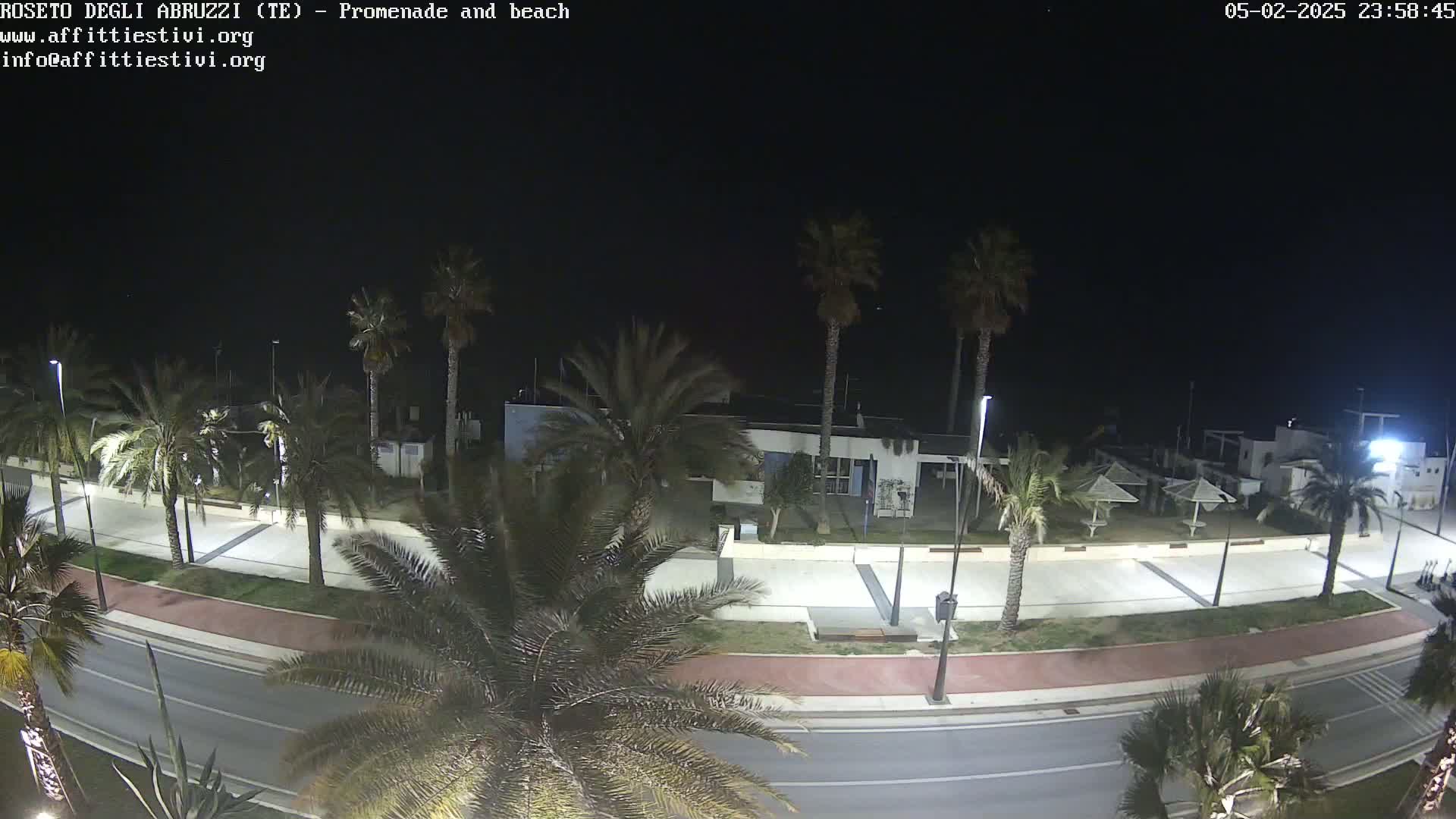 A nighttime view of a palm tree-lined promenade and beach, with a road separating the promenade from the camera's vantage point.