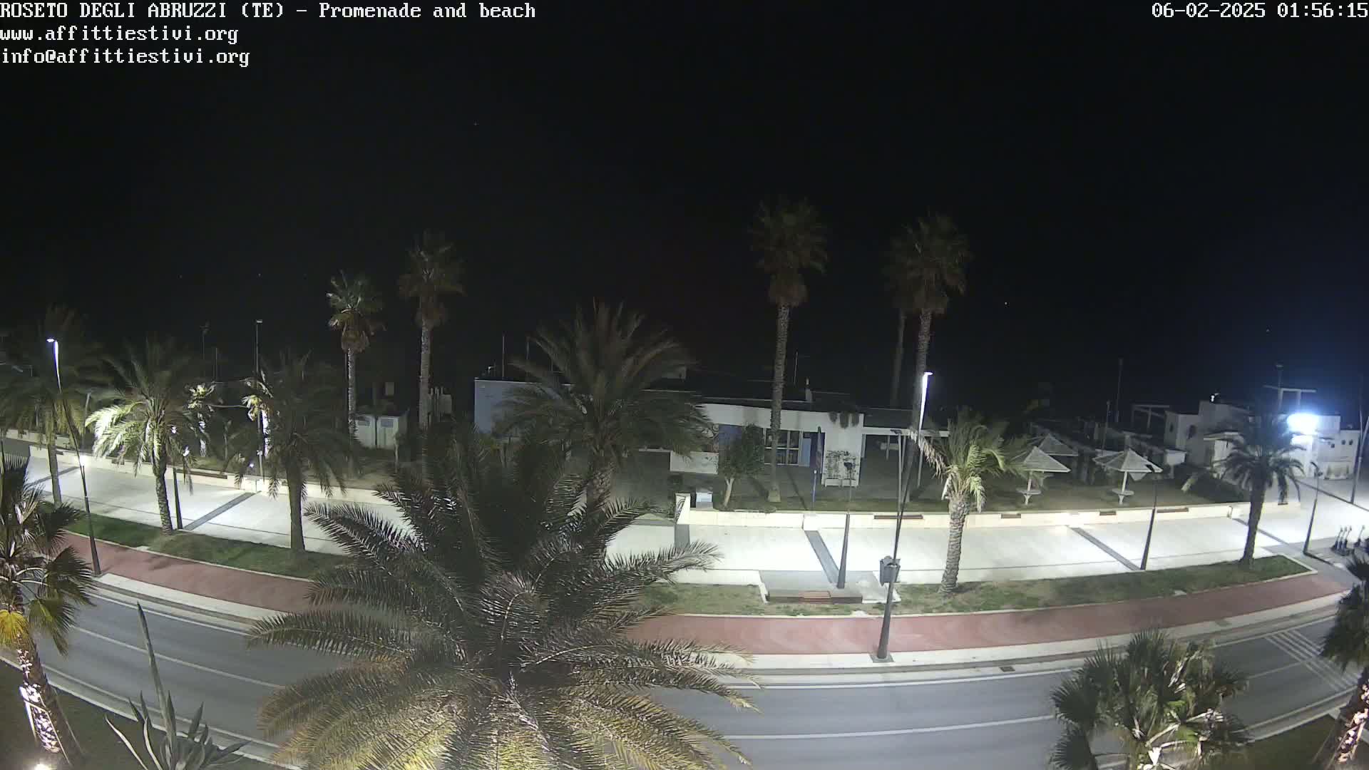 A nighttime view of a palm-tree lined promenade and beach, illuminated by streetlights.