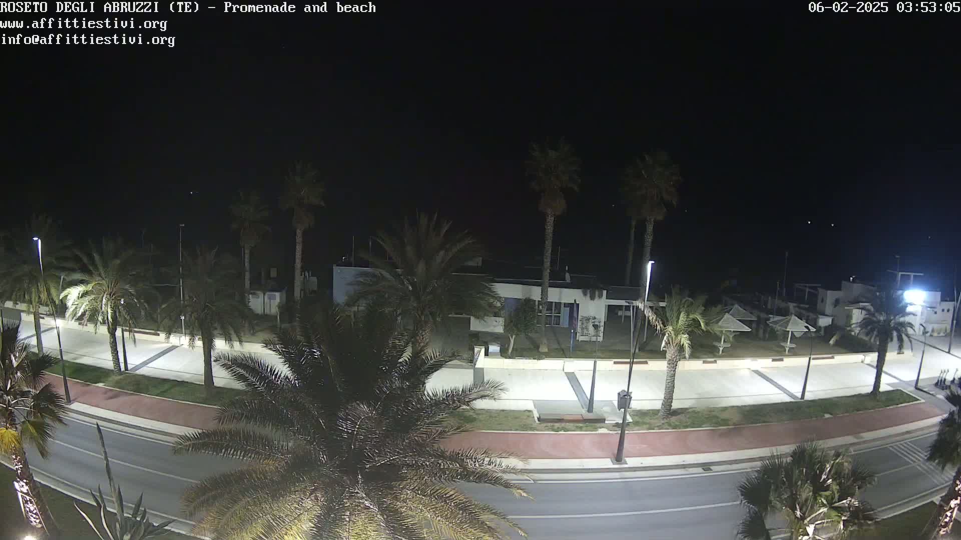 A nighttime view of a beach promenade with palm trees lining a road next to a mostly empty beach.