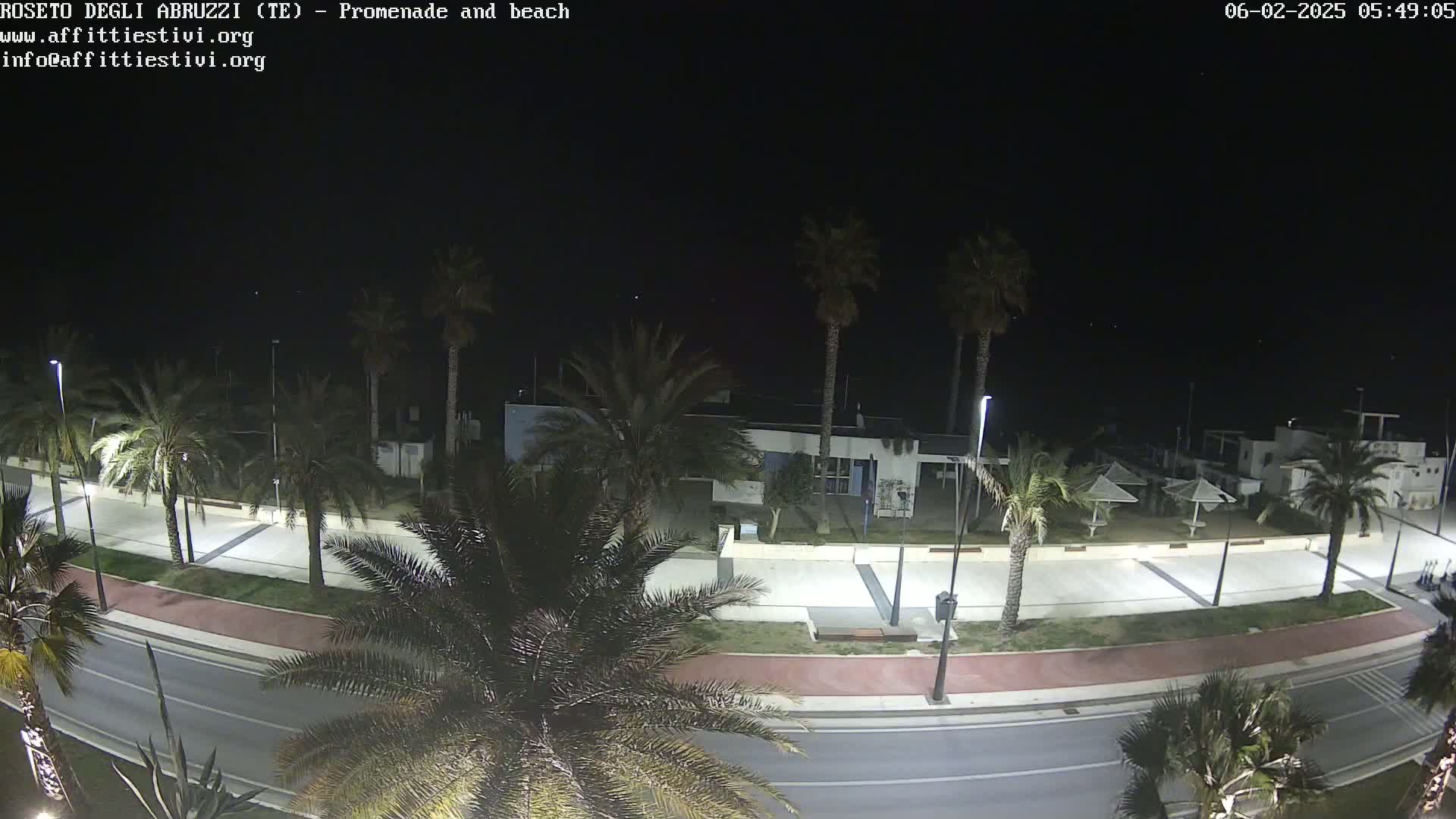 A nighttime view of a palm tree-lined promenade and beach, with a road running alongside.