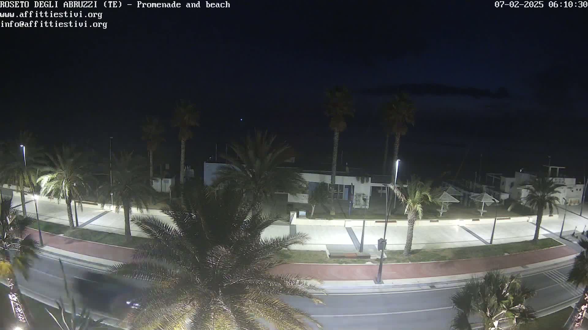 A nighttime view of a palm tree-lined promenade and beach, under a dark sky.
