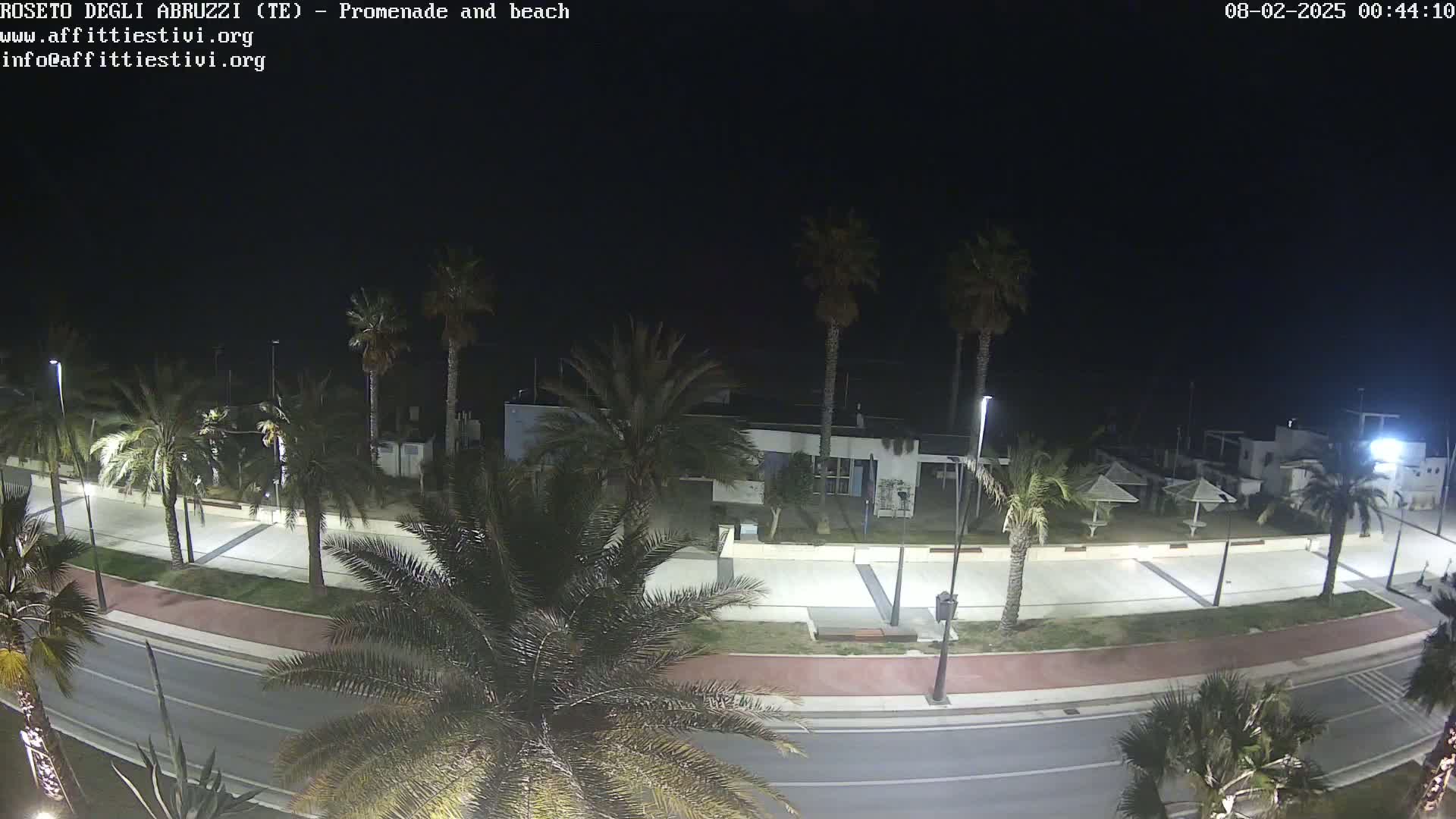 A nighttime, overhead view of a palm tree-lined promenade and beach, with a roadway and several buildings visible.