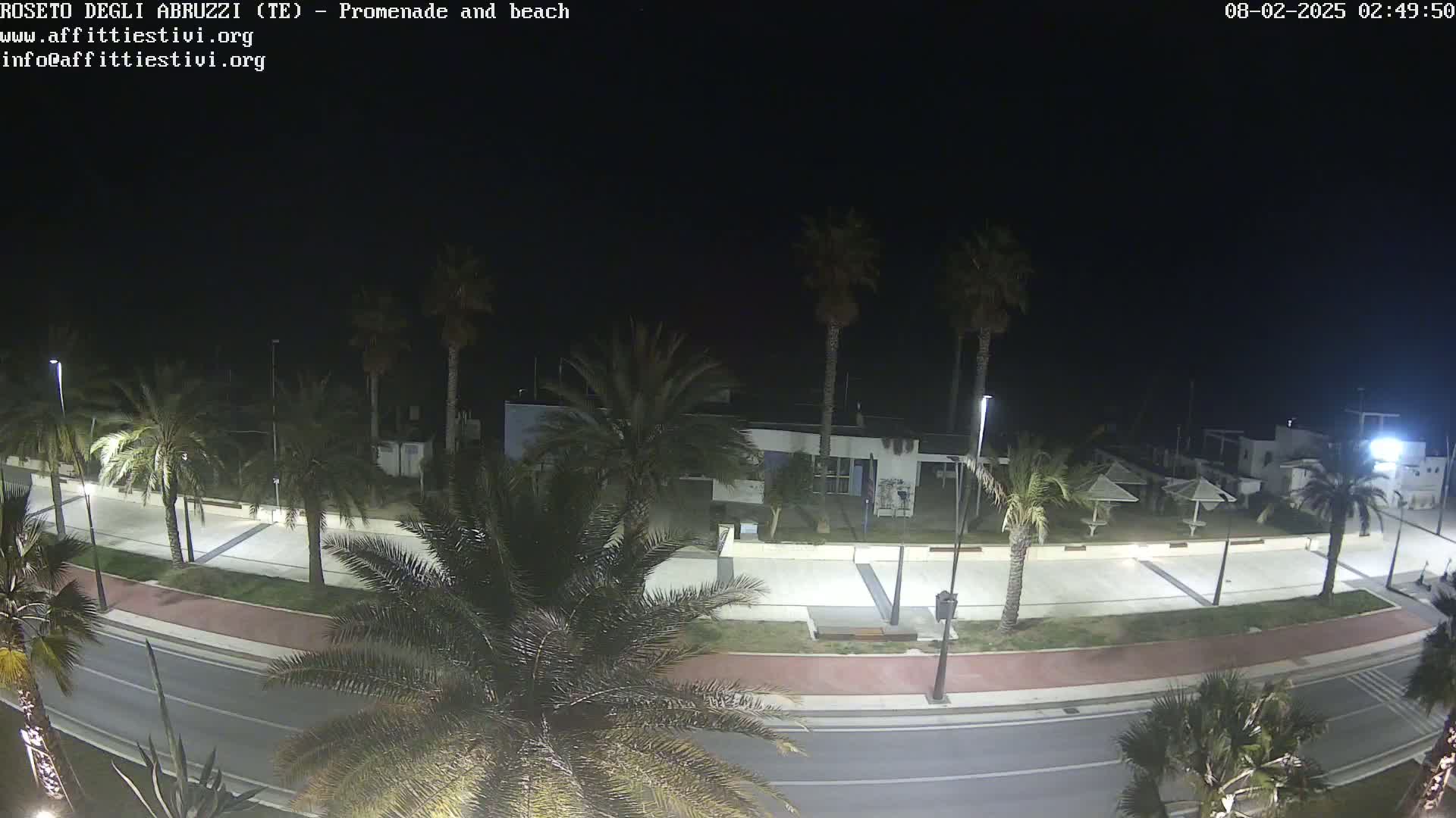 A nighttime, high-angle view shows a paved promenade and beach area lined with palm trees, a road, and some buildings under a dark sky.