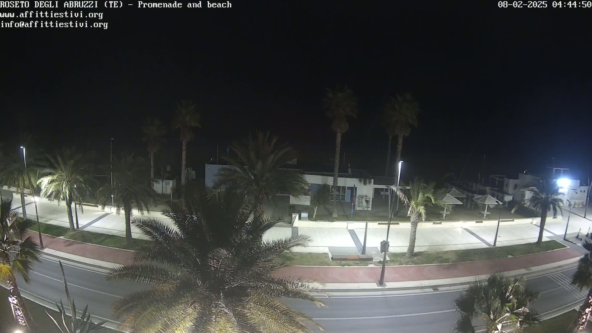 A nighttime view of a palm tree-lined promenade and beach, with a roadway separating them.