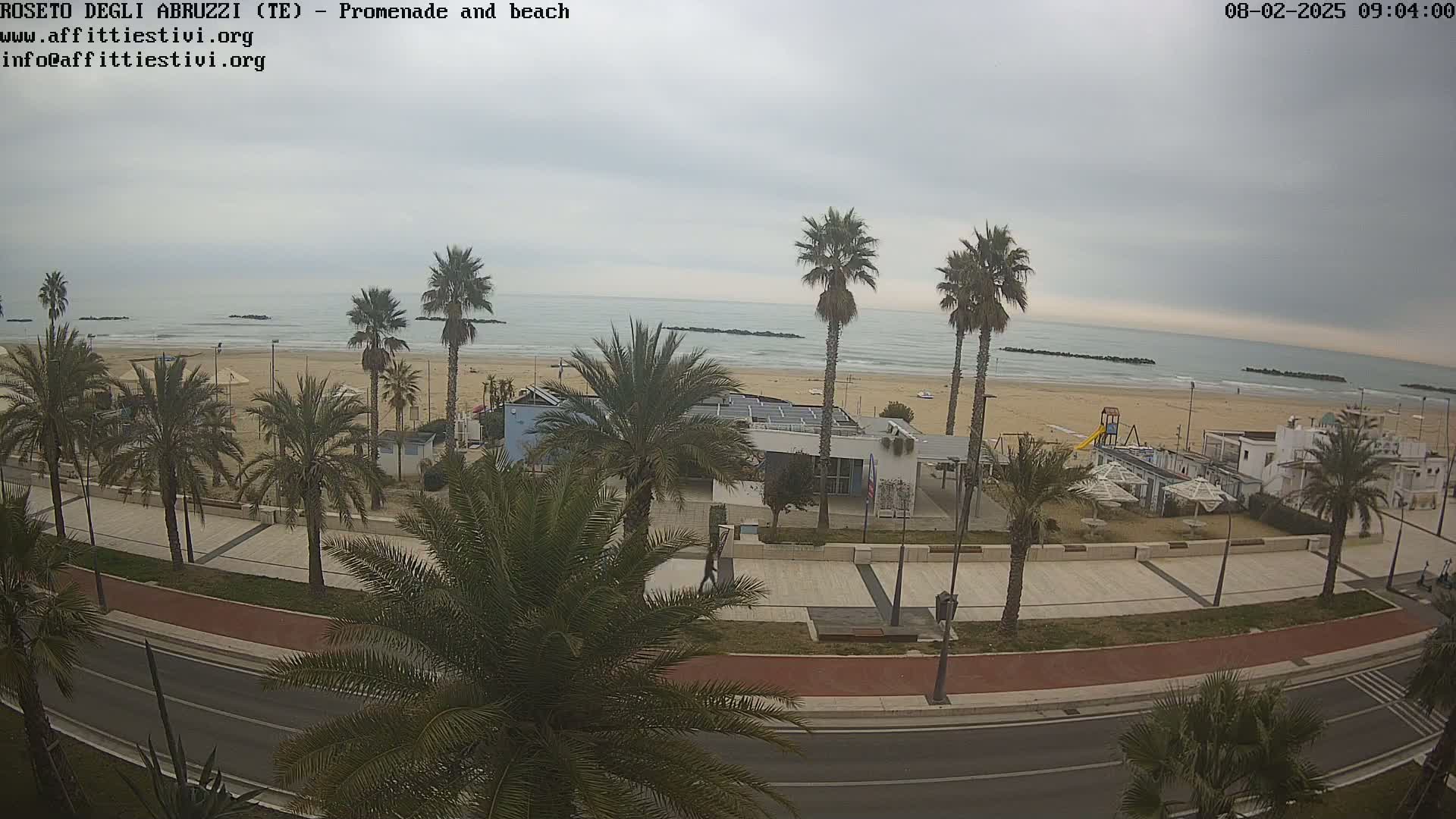 A beach with calm waves under an overcast sky is seen from above, with palm trees lining a paved promenade and road next to the sand.
