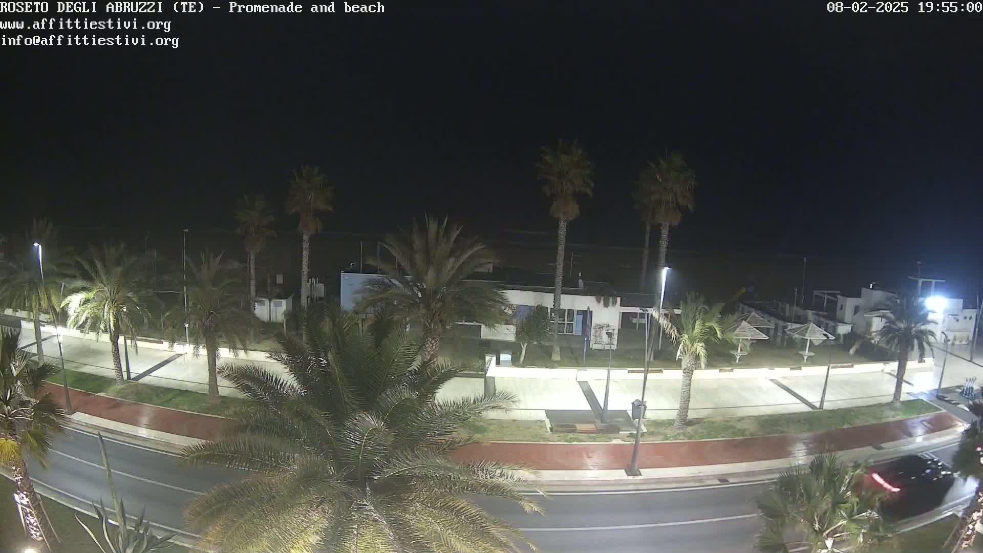 A nighttime view of a wet road next to a promenade lined with palm trees, leading to a beach with a few buildings and umbrellas.
