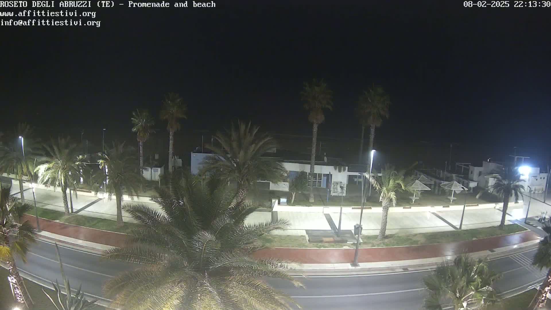 A nighttime, overhead view of a palm tree-lined promenade and beach, with a road running alongside.