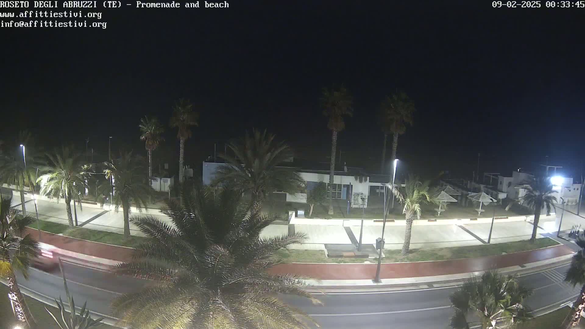 A nighttime view of a palm tree-lined promenade and beach, with a road and a few vehicles visible.