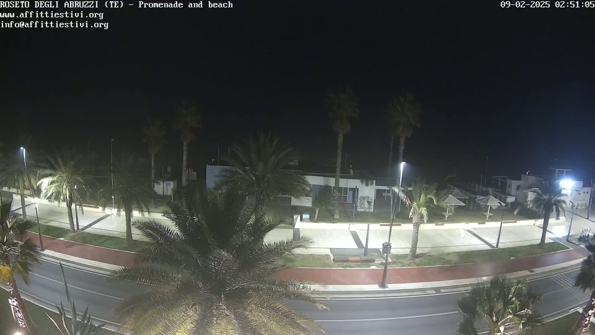 A nighttime view of a palm tree-lined promenade and beach, illuminated by streetlights.