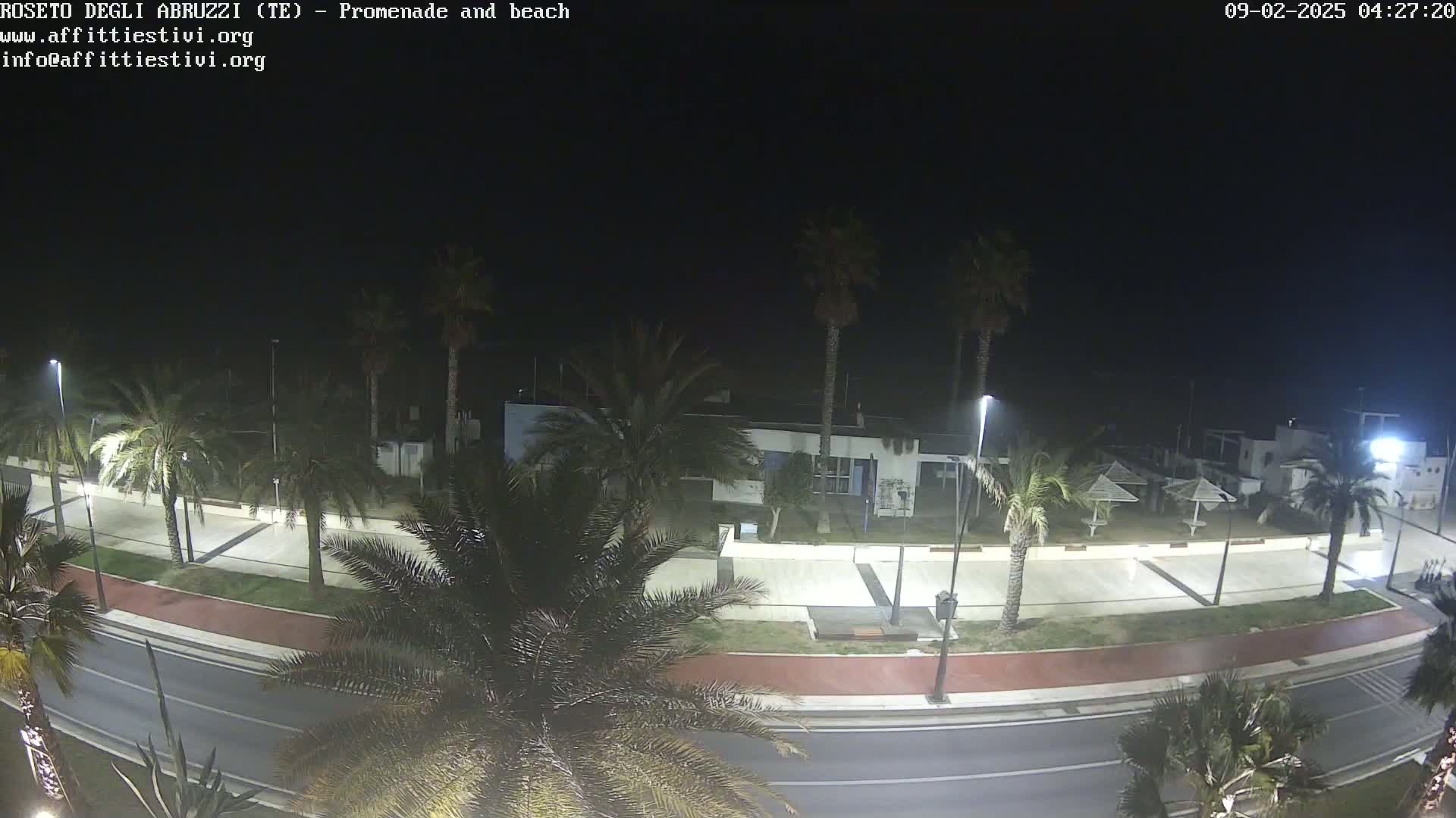 A nighttime view of a palm tree-lined promenade and beach, with a road running alongside.